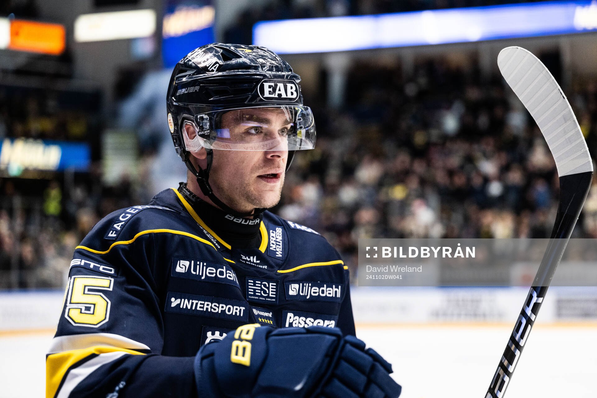 HV71s Radan Lenc jublar