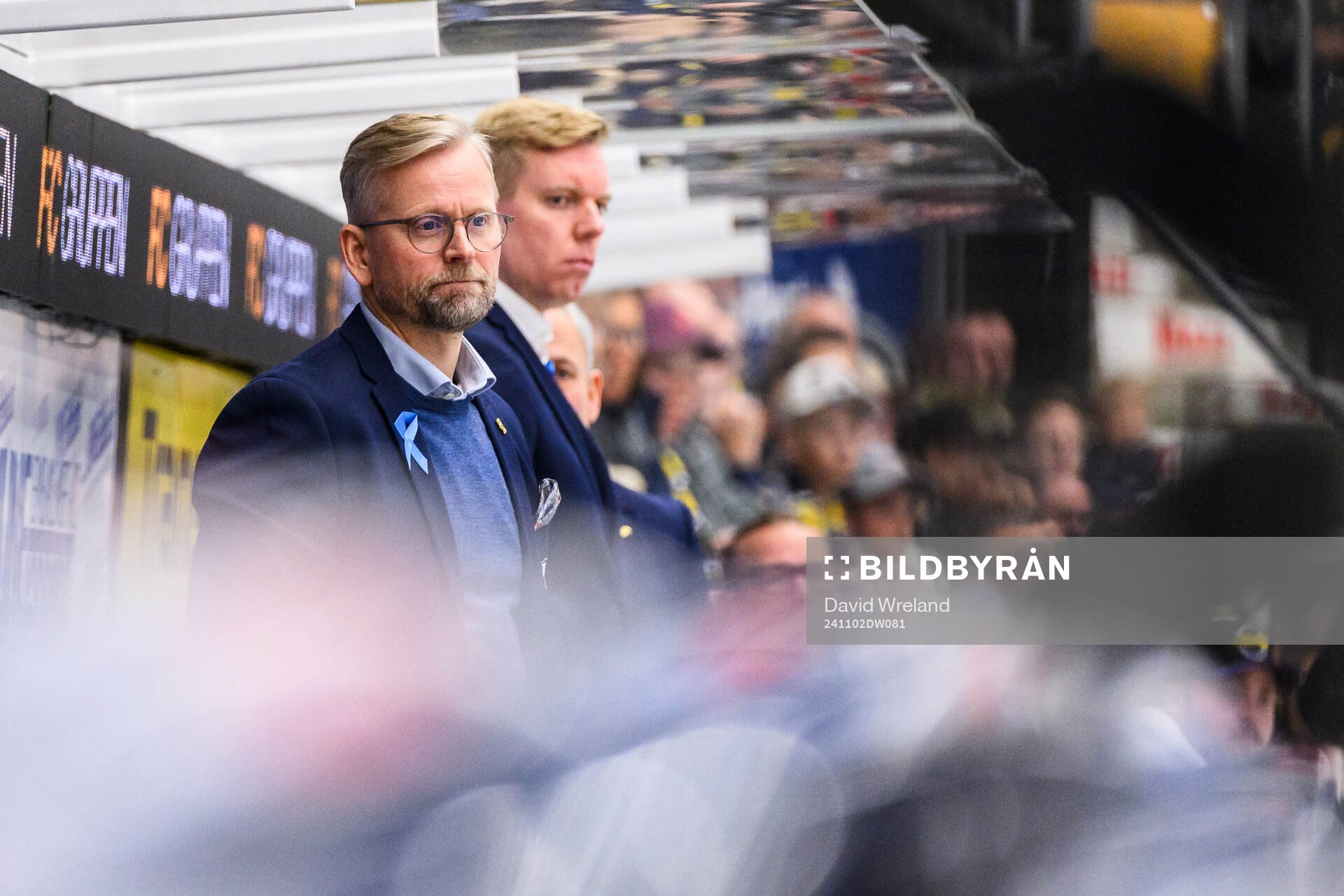 HV71s assisterande tränare Johan Davidsson