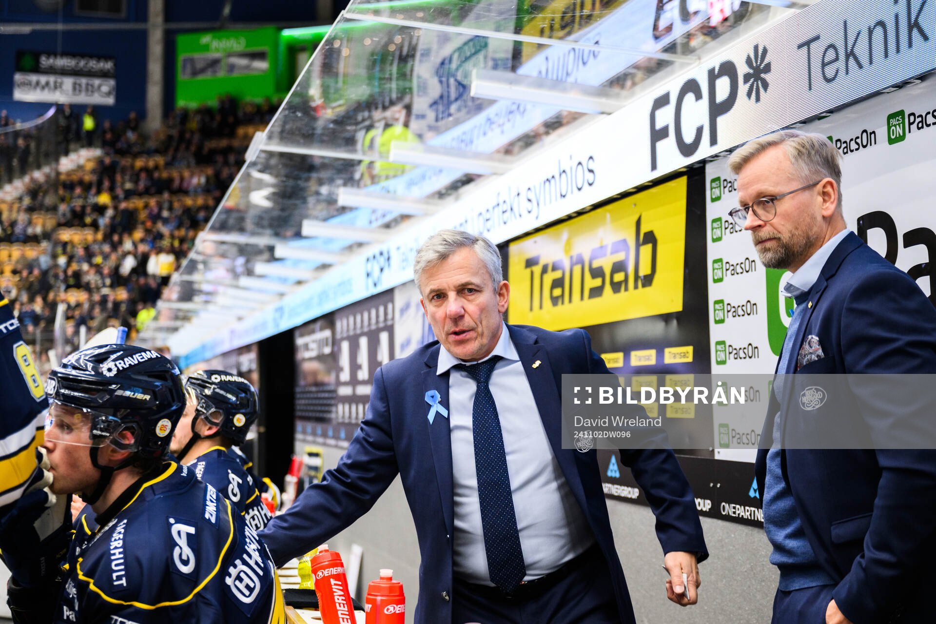 HV71s assisterande tränare Fredrik Stillman