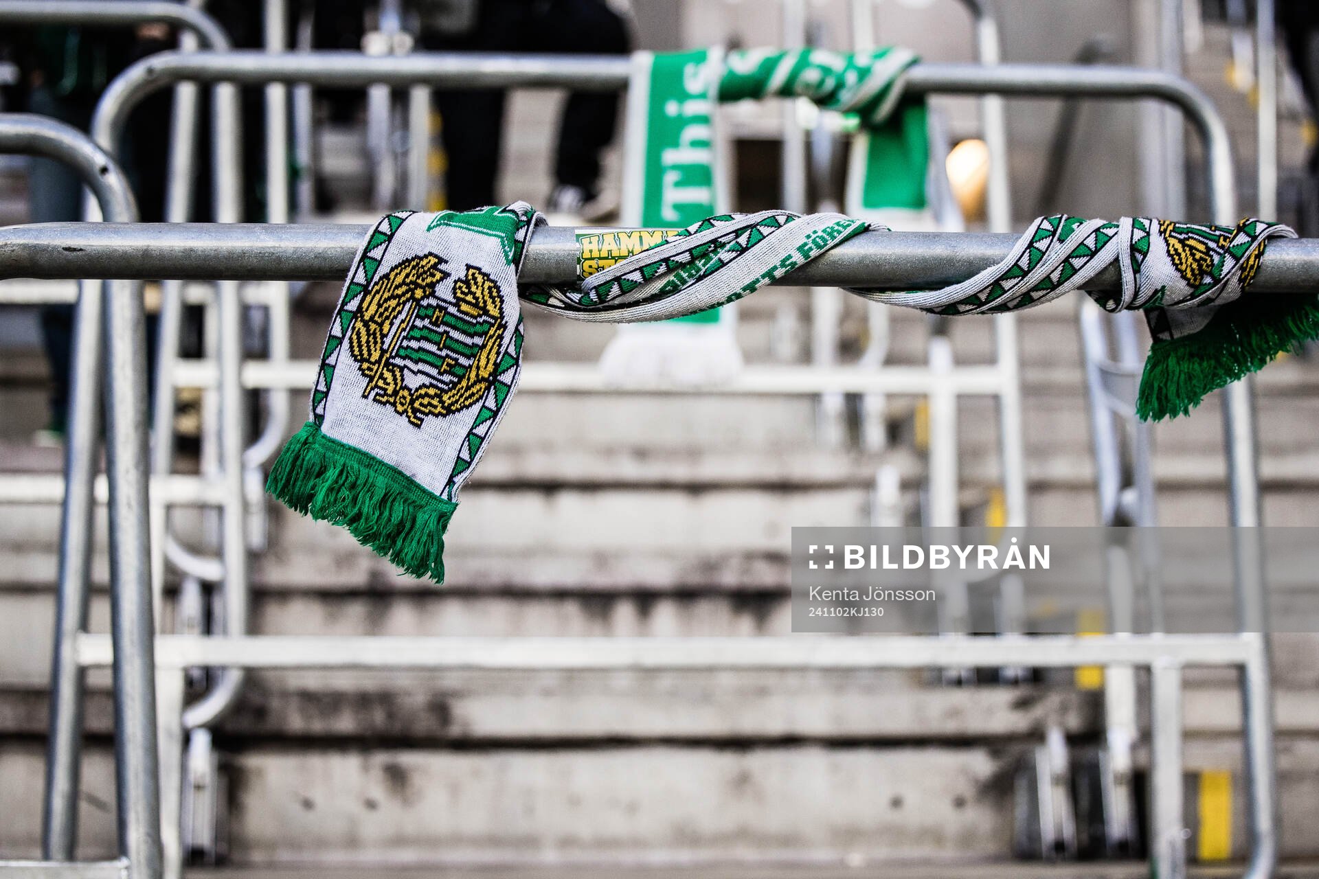 En Hammarbyhalsduk
