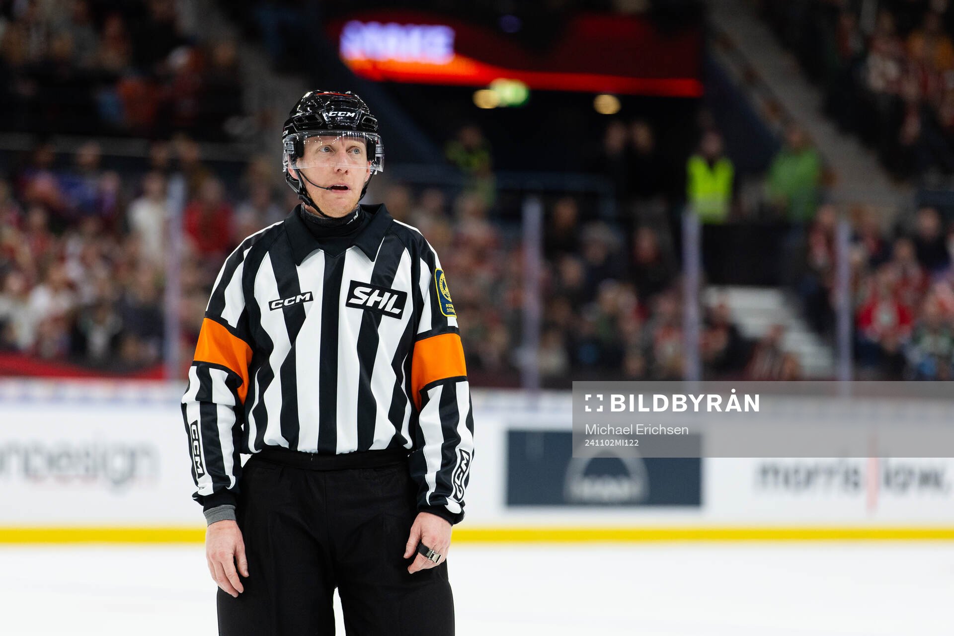 Domare Mikael Holm