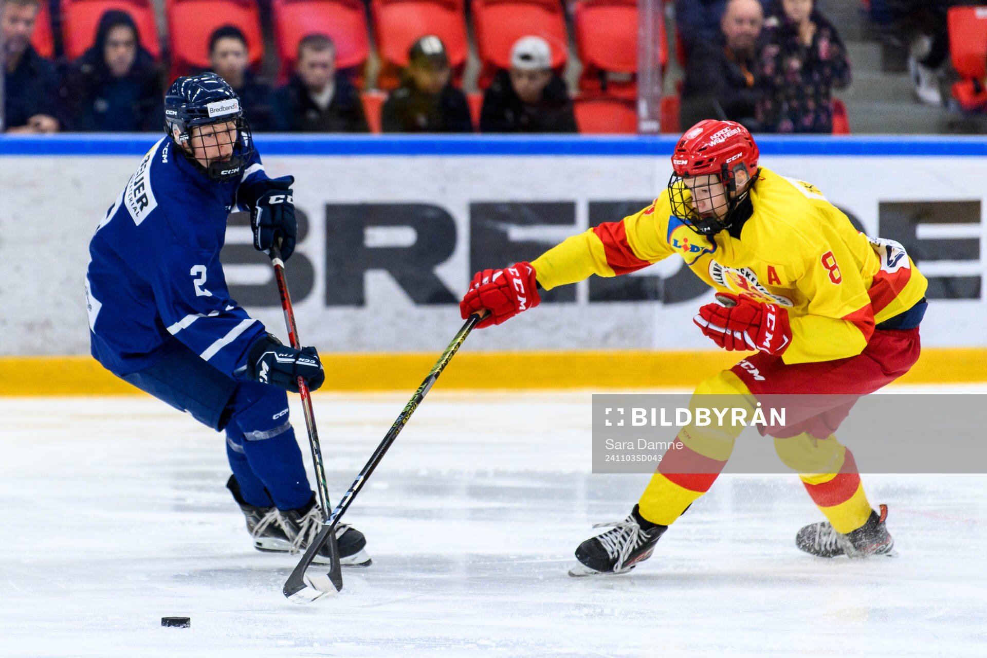 Västerbottens Douglas Johnsson och Smålands Josef Krantz