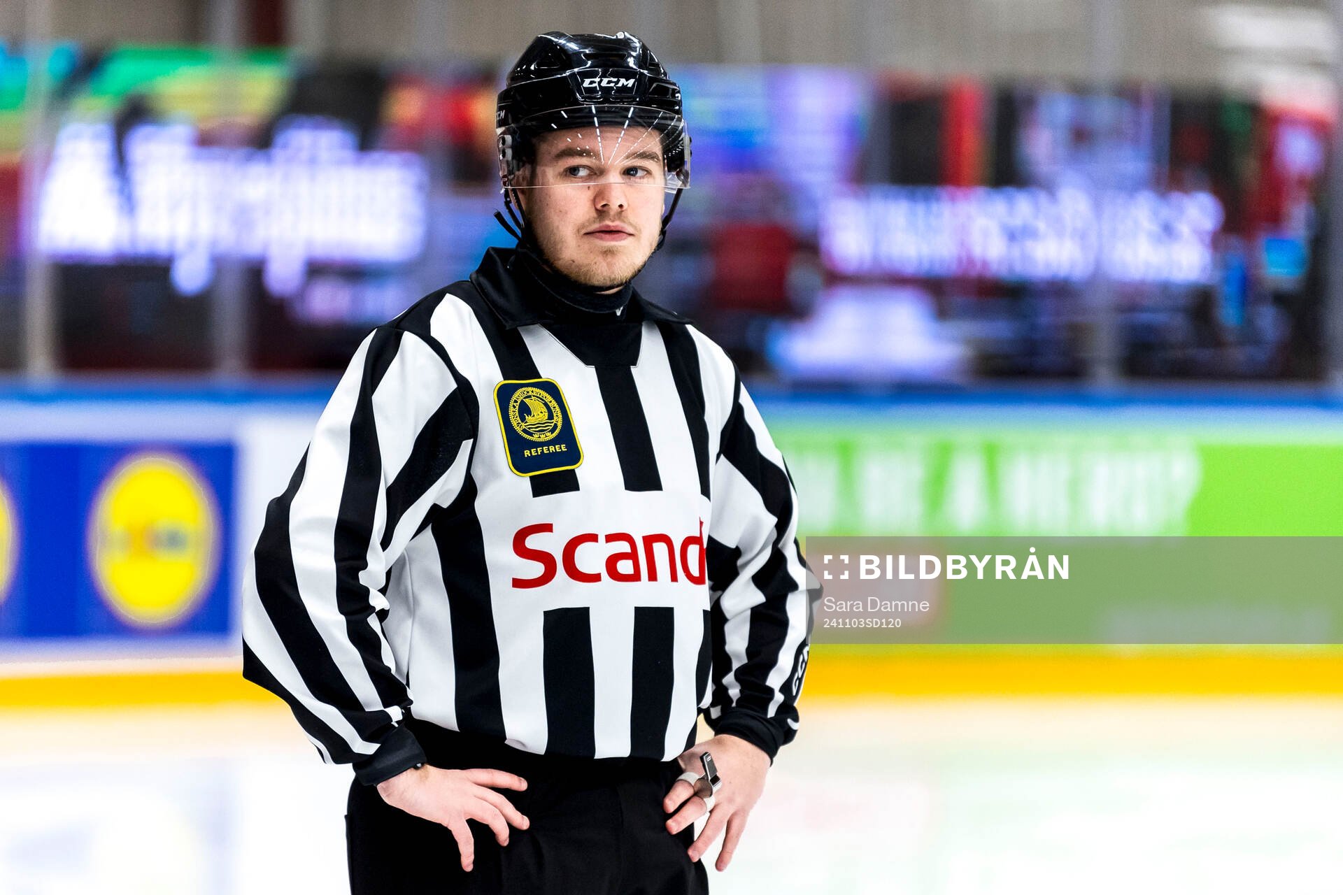Domare Filip Friberg