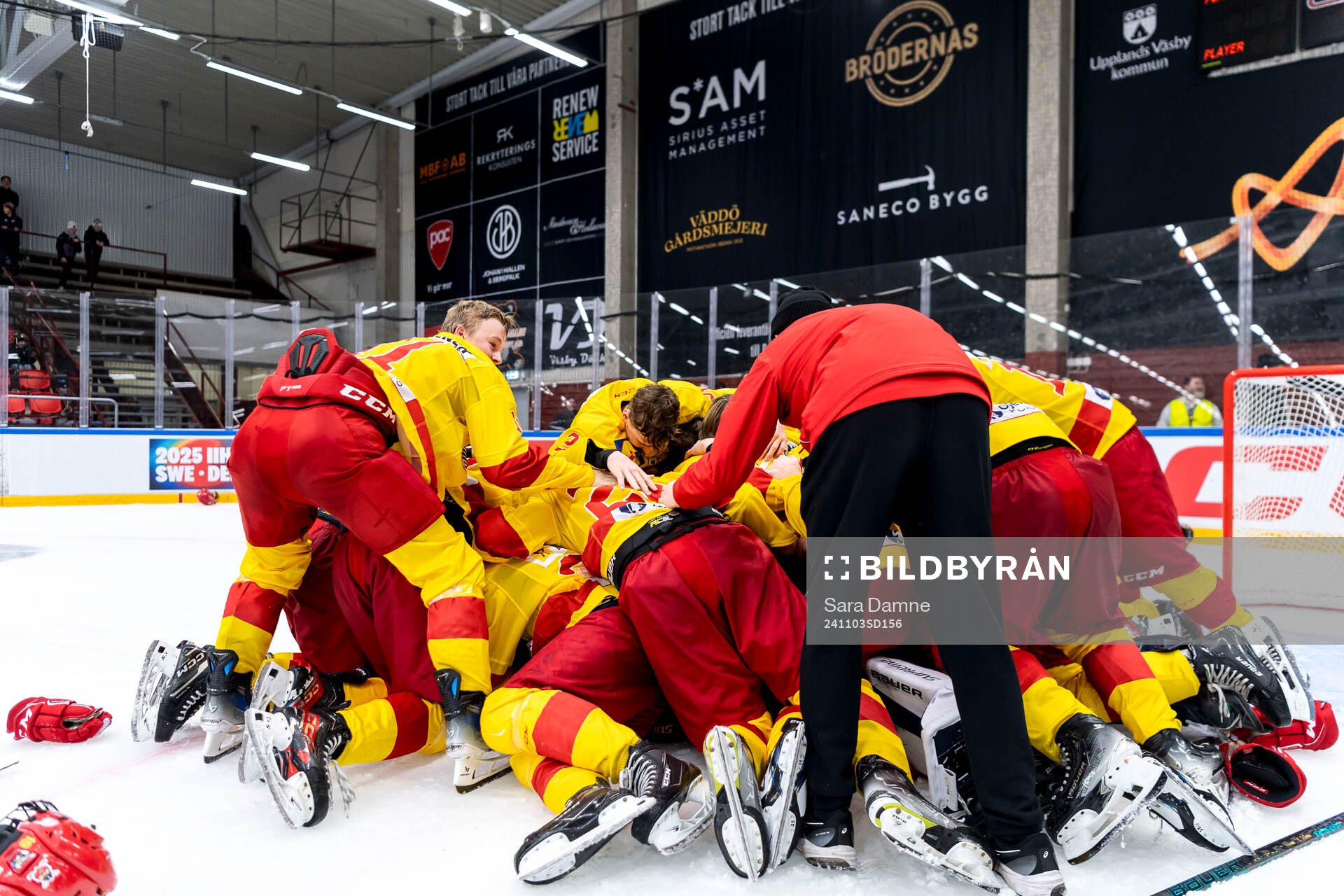 Smålands spelare jublar