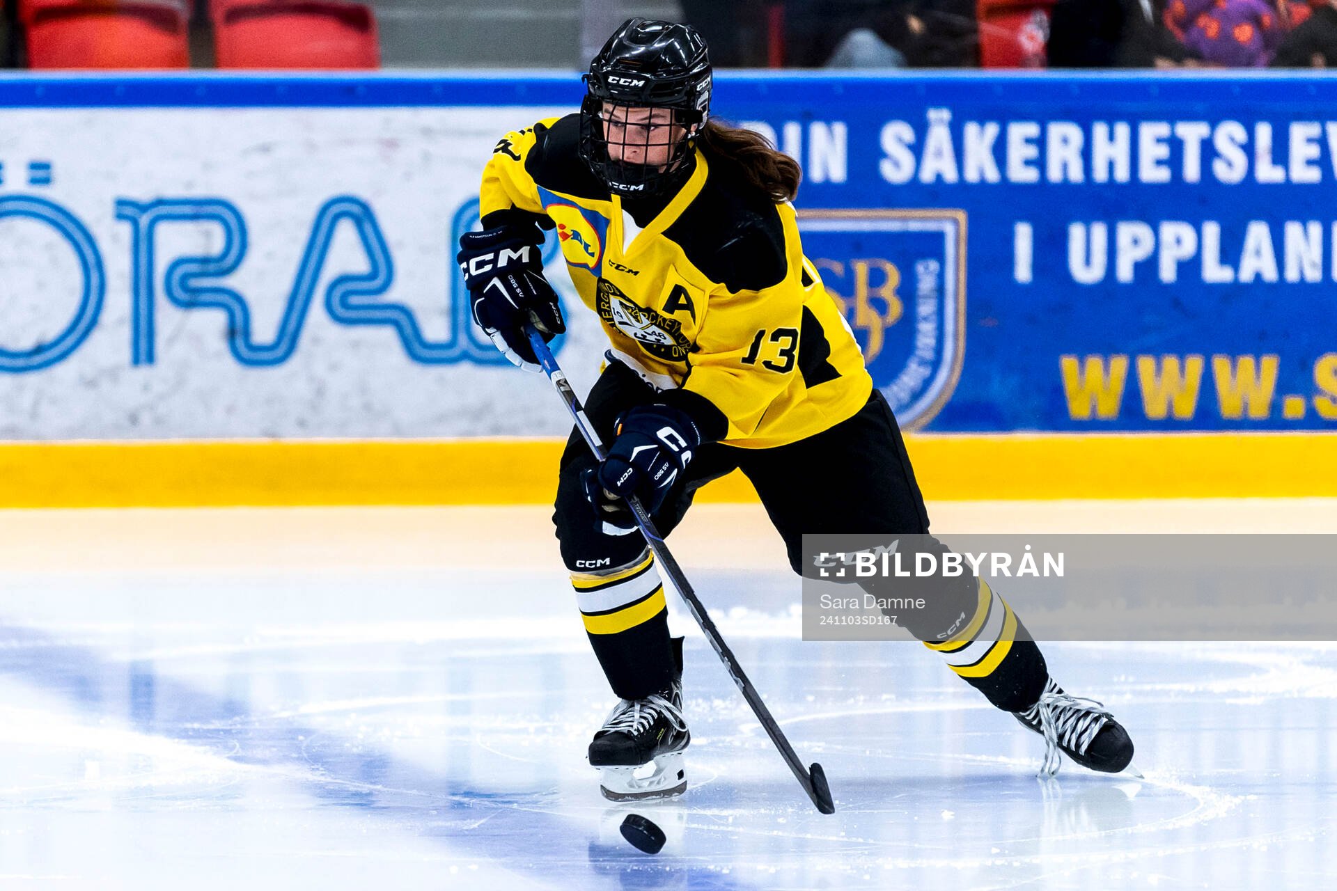 Västergötlands Tindra Medin