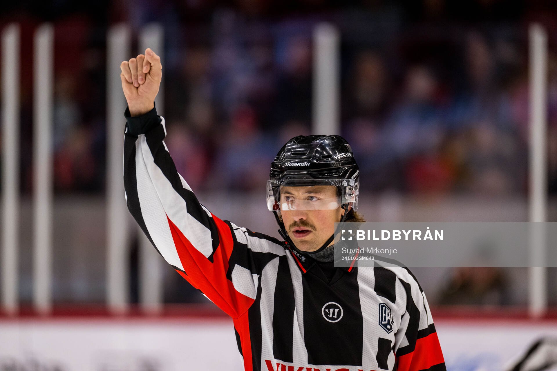 Domare Robin Jacobsson