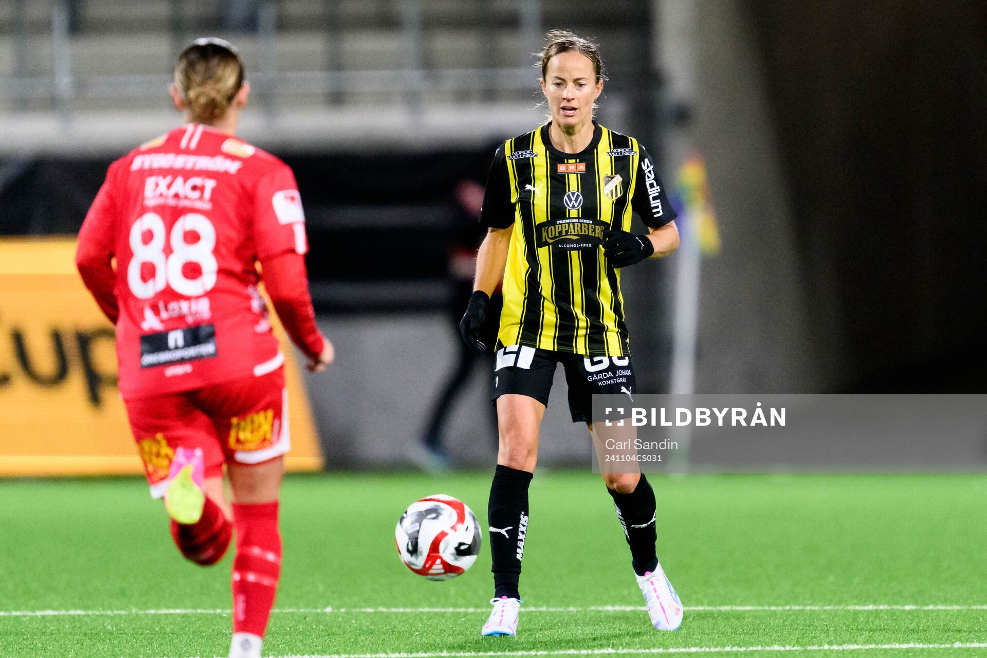 Häckens Aivi Luik