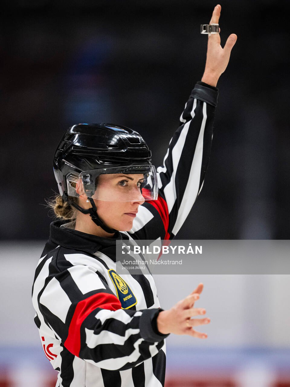 Referee Anna Hammar