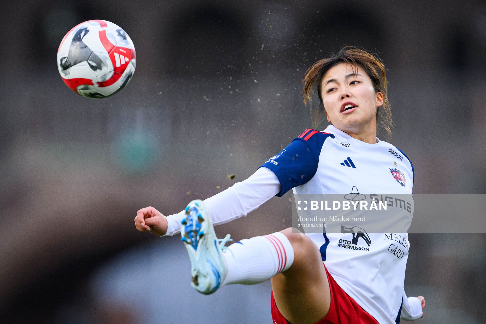 Rosengårds Momoko Tanikawa