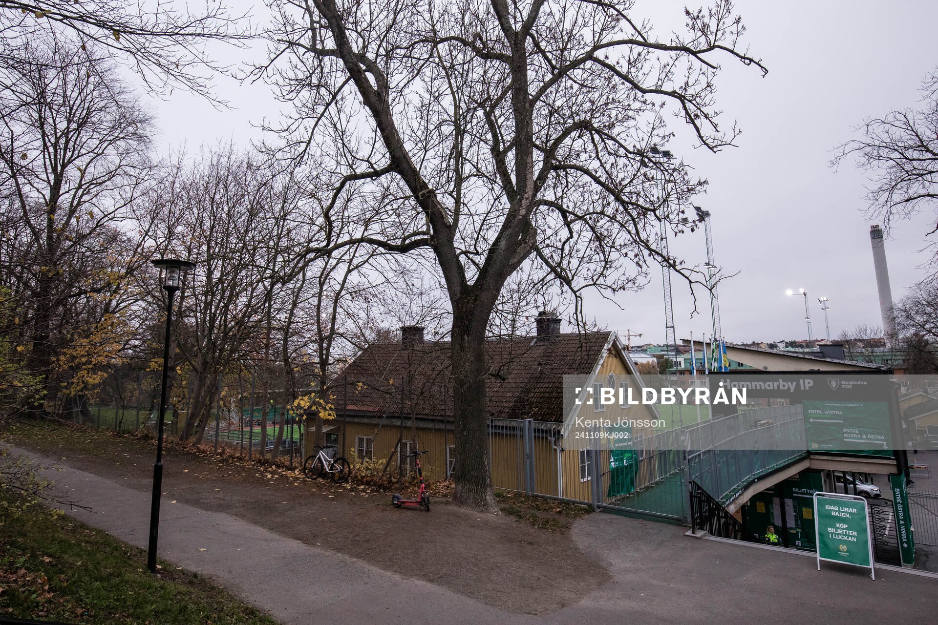 Hammarby IP