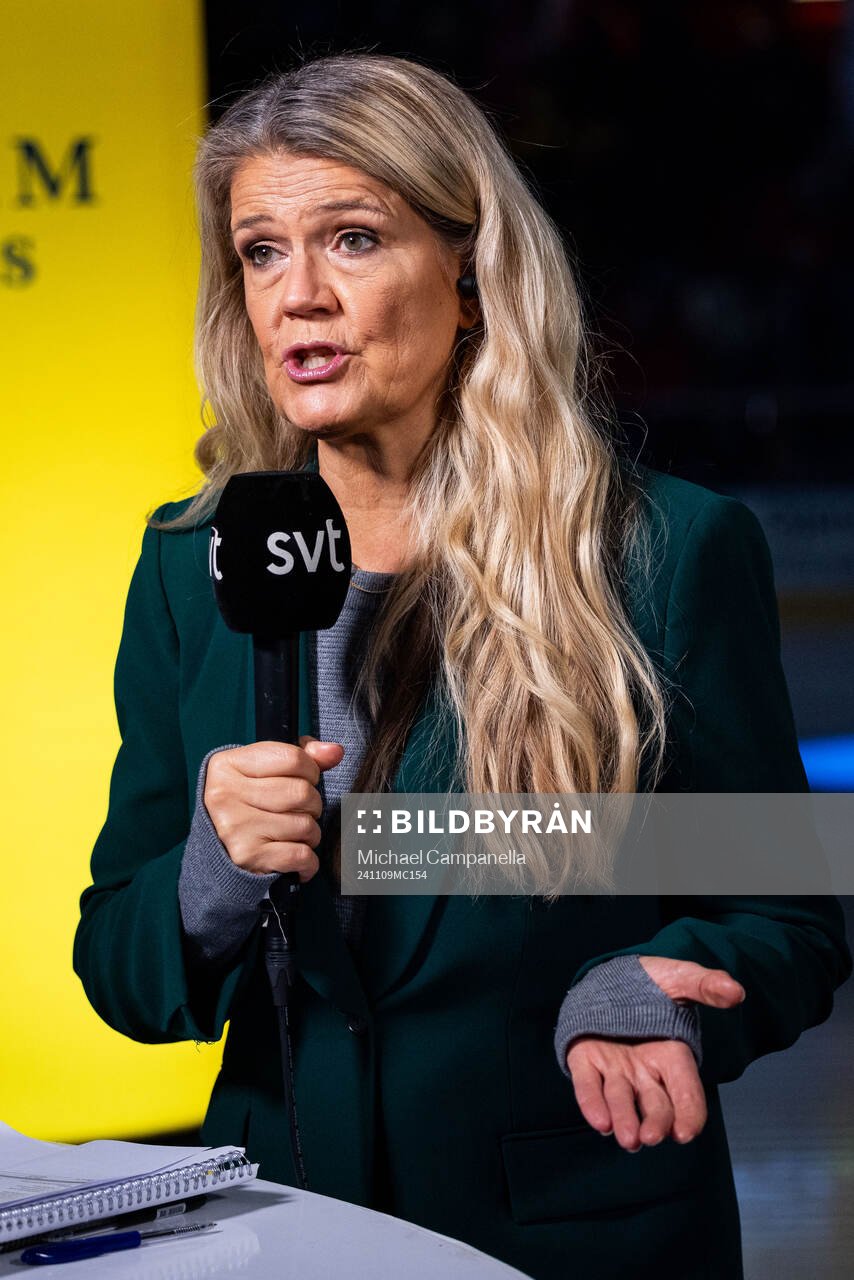 Marie Lehmann, SVT reporter