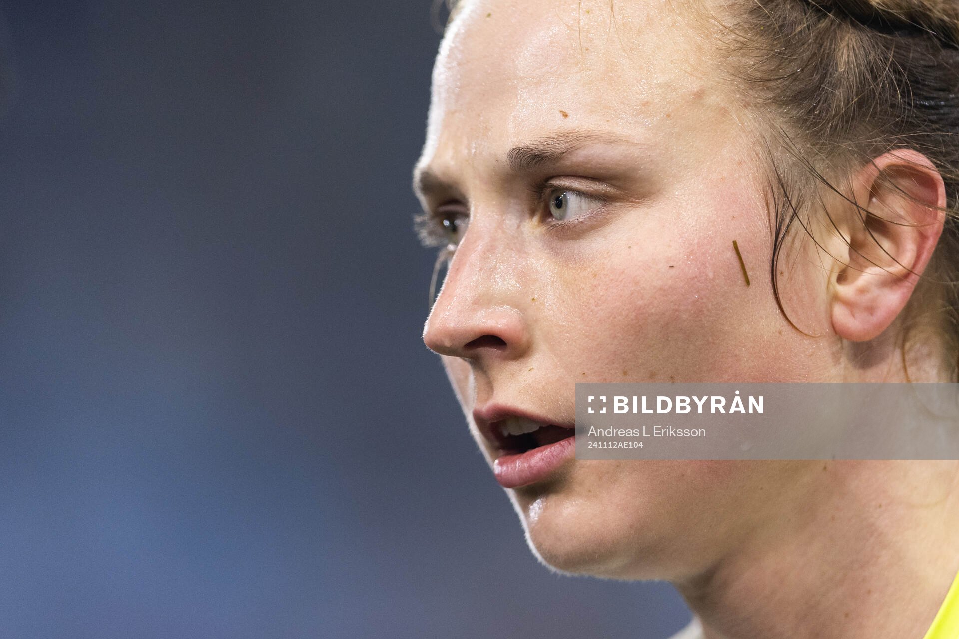 goalkeeper Anna Tamminen of Hammarby