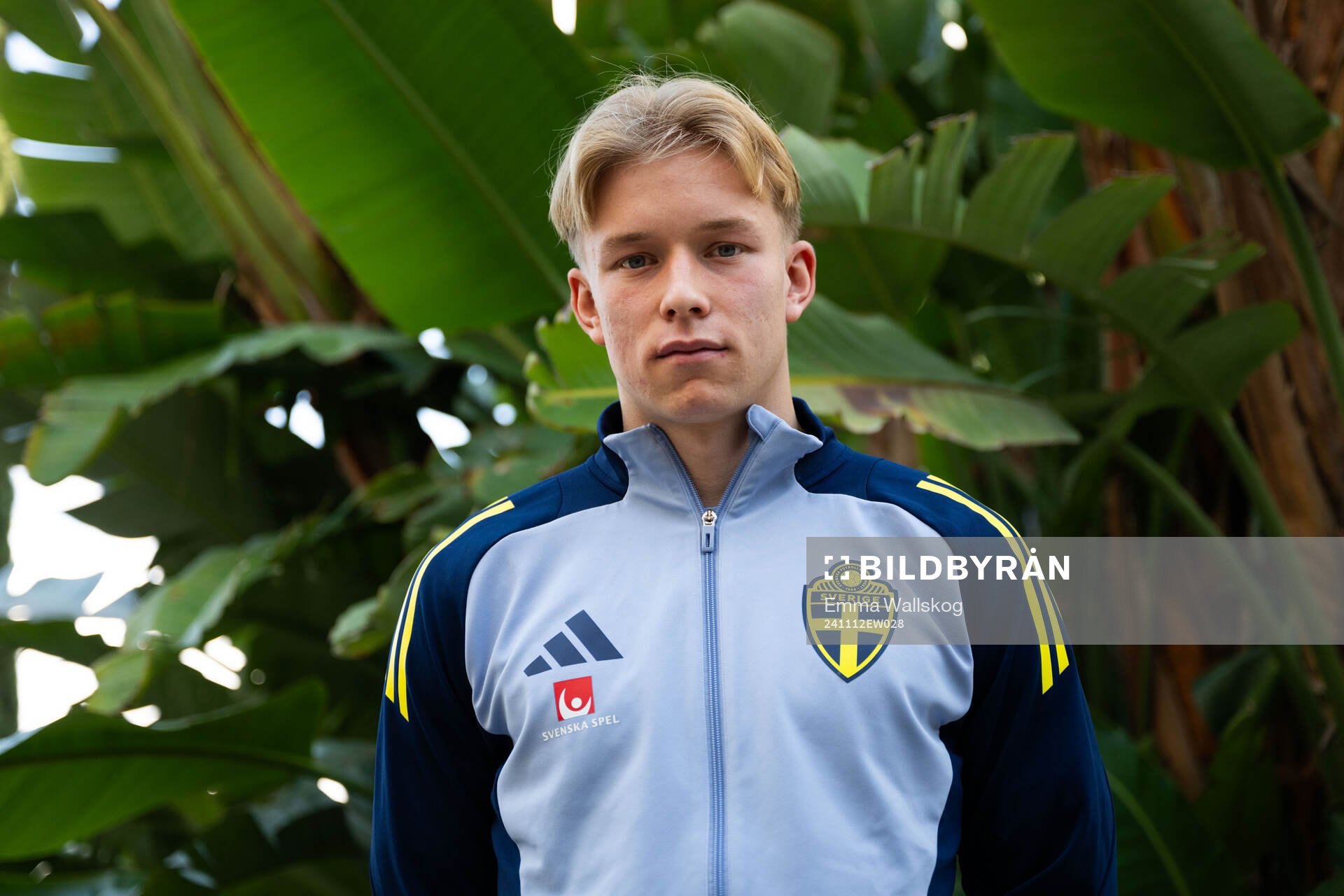 Daniel Svensson of the Swedish men's national football team