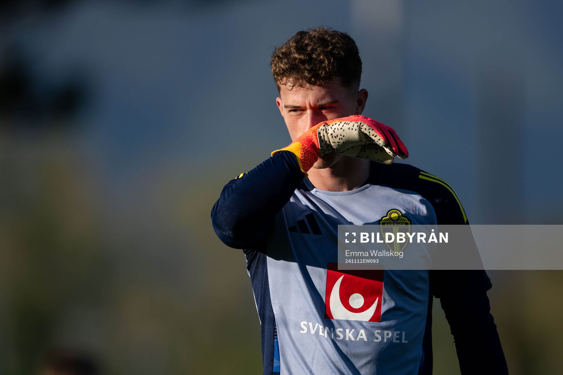 Goalkeeper Viktor Andersson