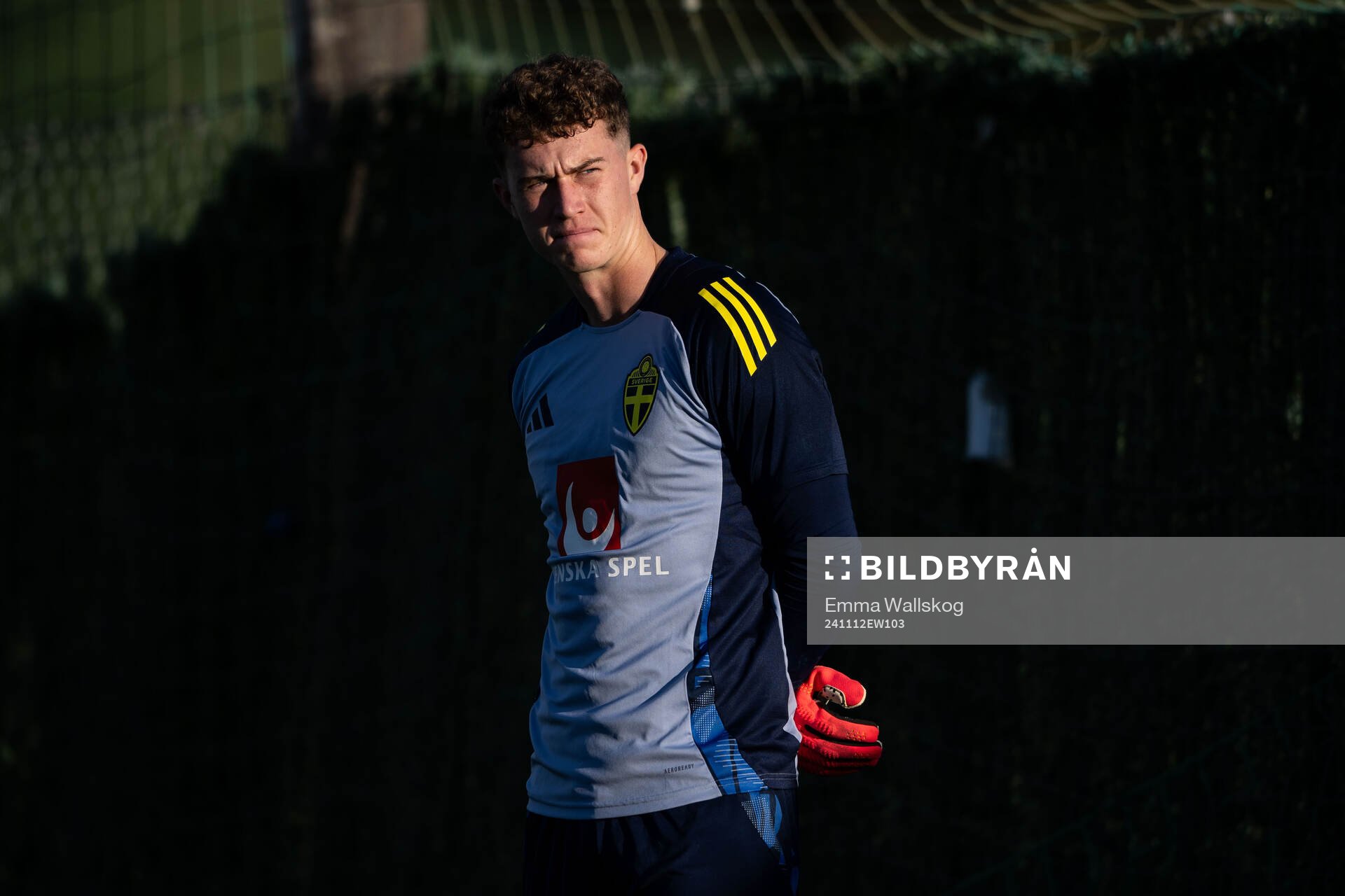 Goalkeeper Viktor Andersson