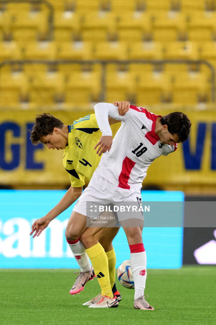 John Mellberg of Sweden and Aleksandre Turkia of Georgia