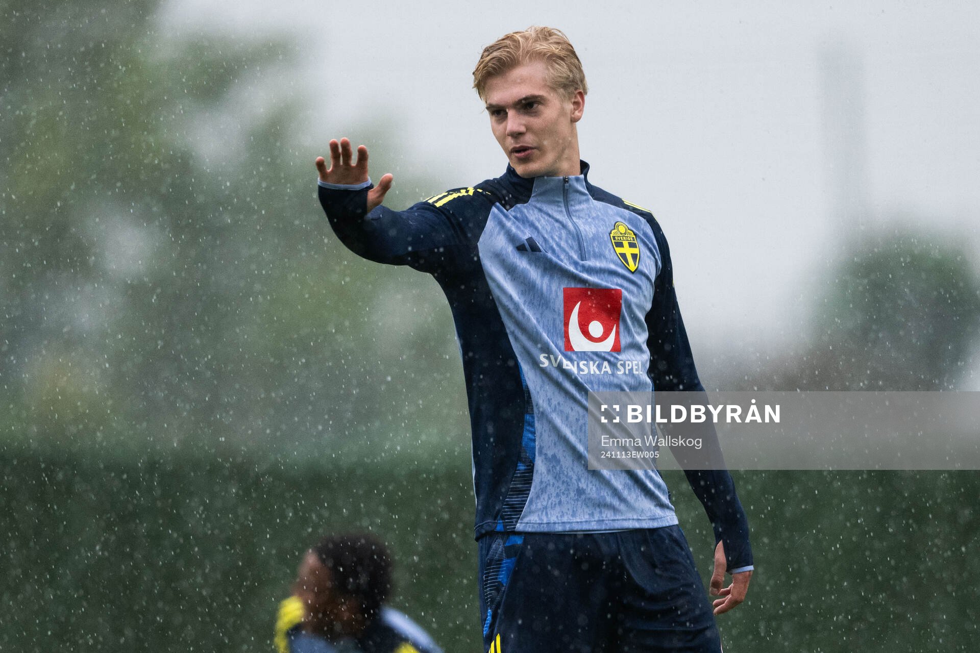 of the Swedish men's football national team at a training
