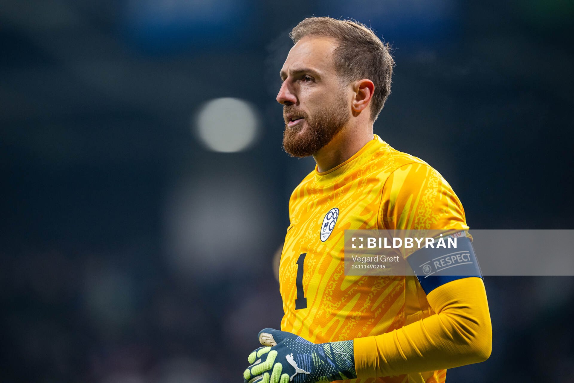 Goalkeeper Jan Oblak of Slovenia