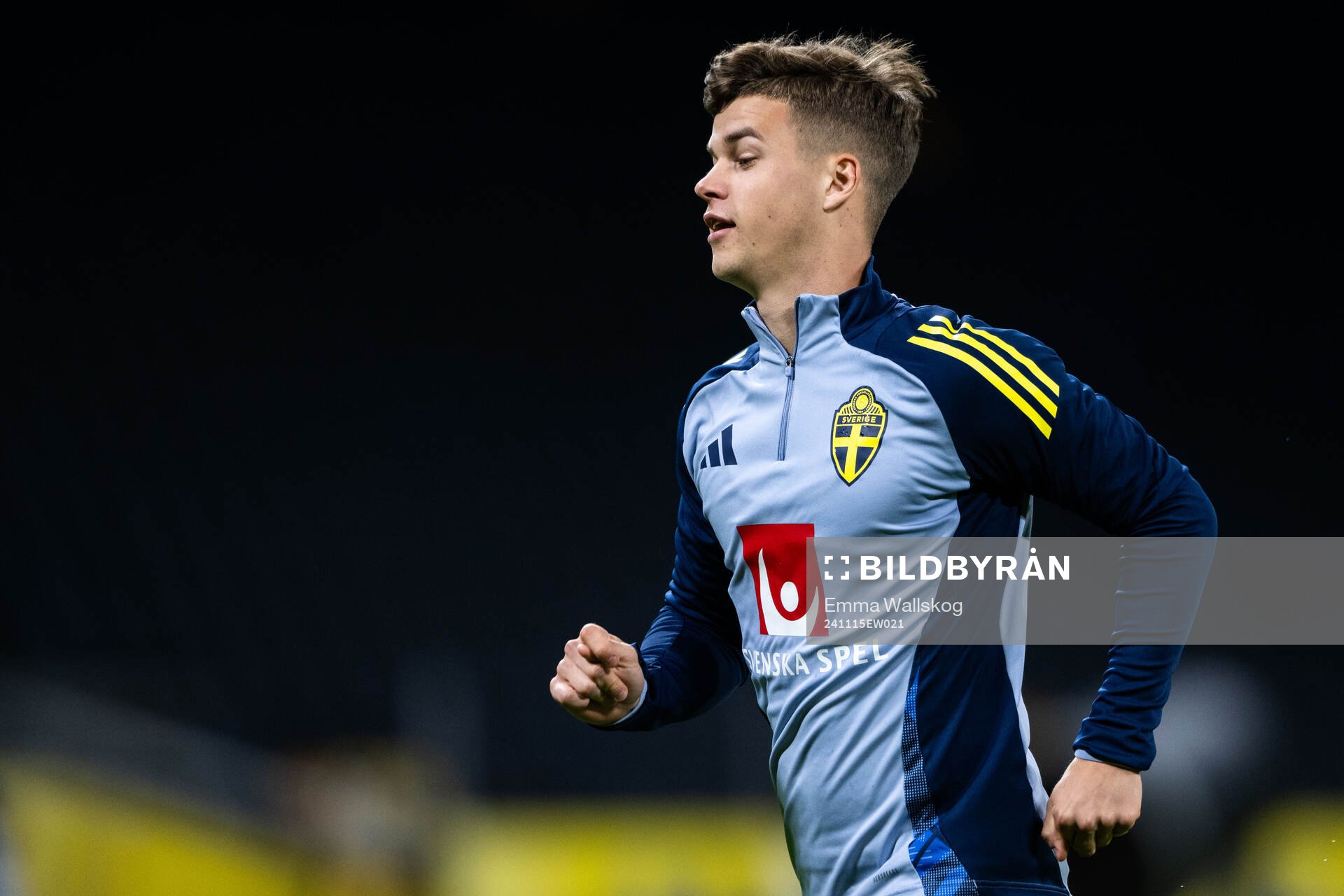 Samuel Dahl of the Swedish men's football national team at