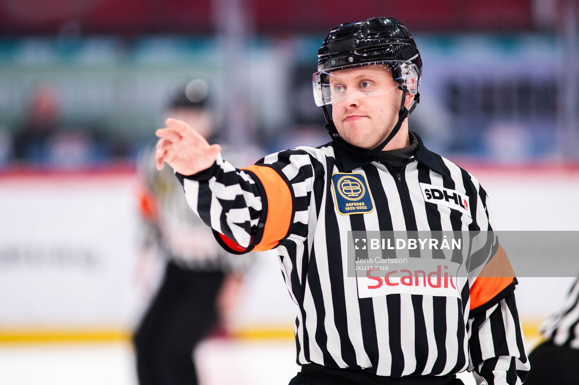 Domare Joakim Flink