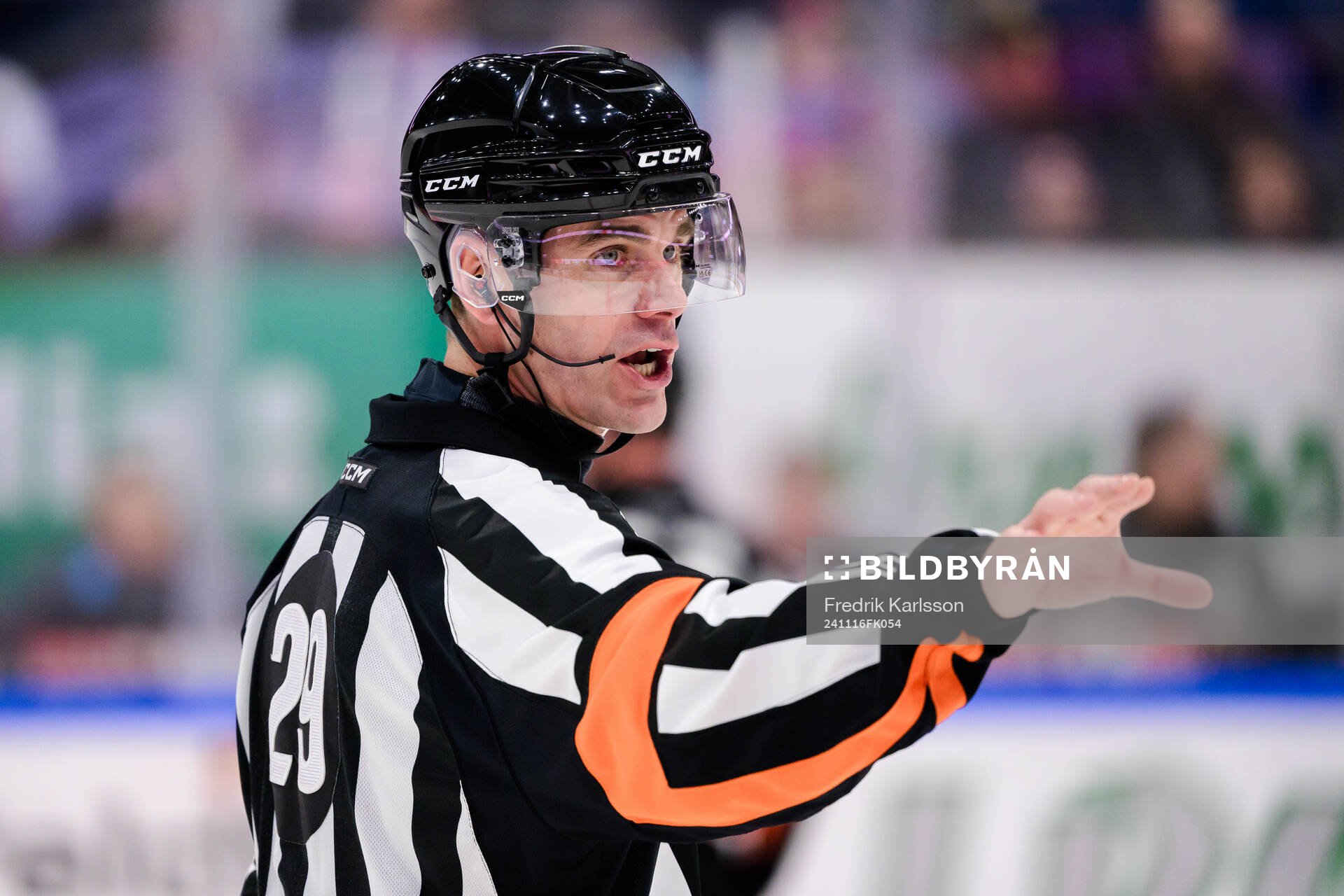 Domare Richard Magnusson