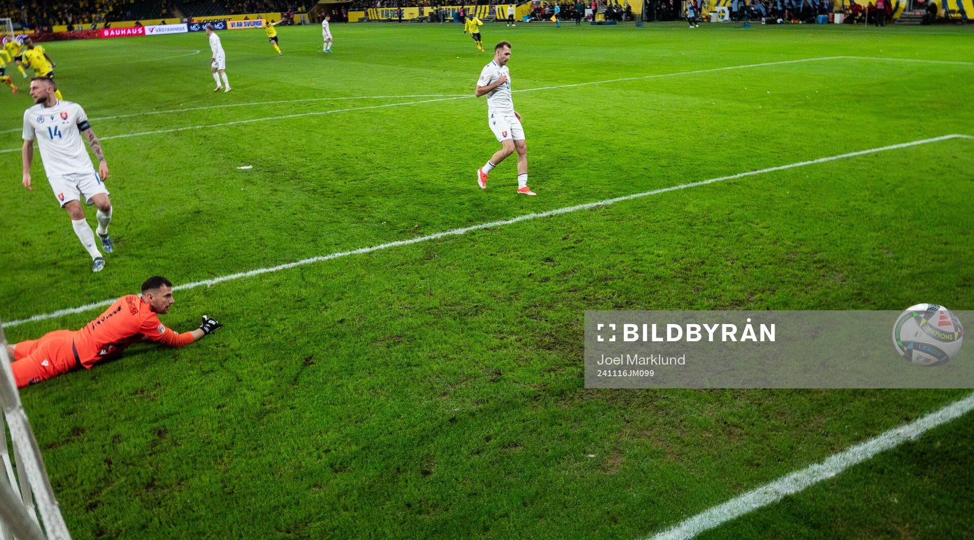 Goalkeeper Martin Dubravka of Slovakia lets in the 1-0 goal