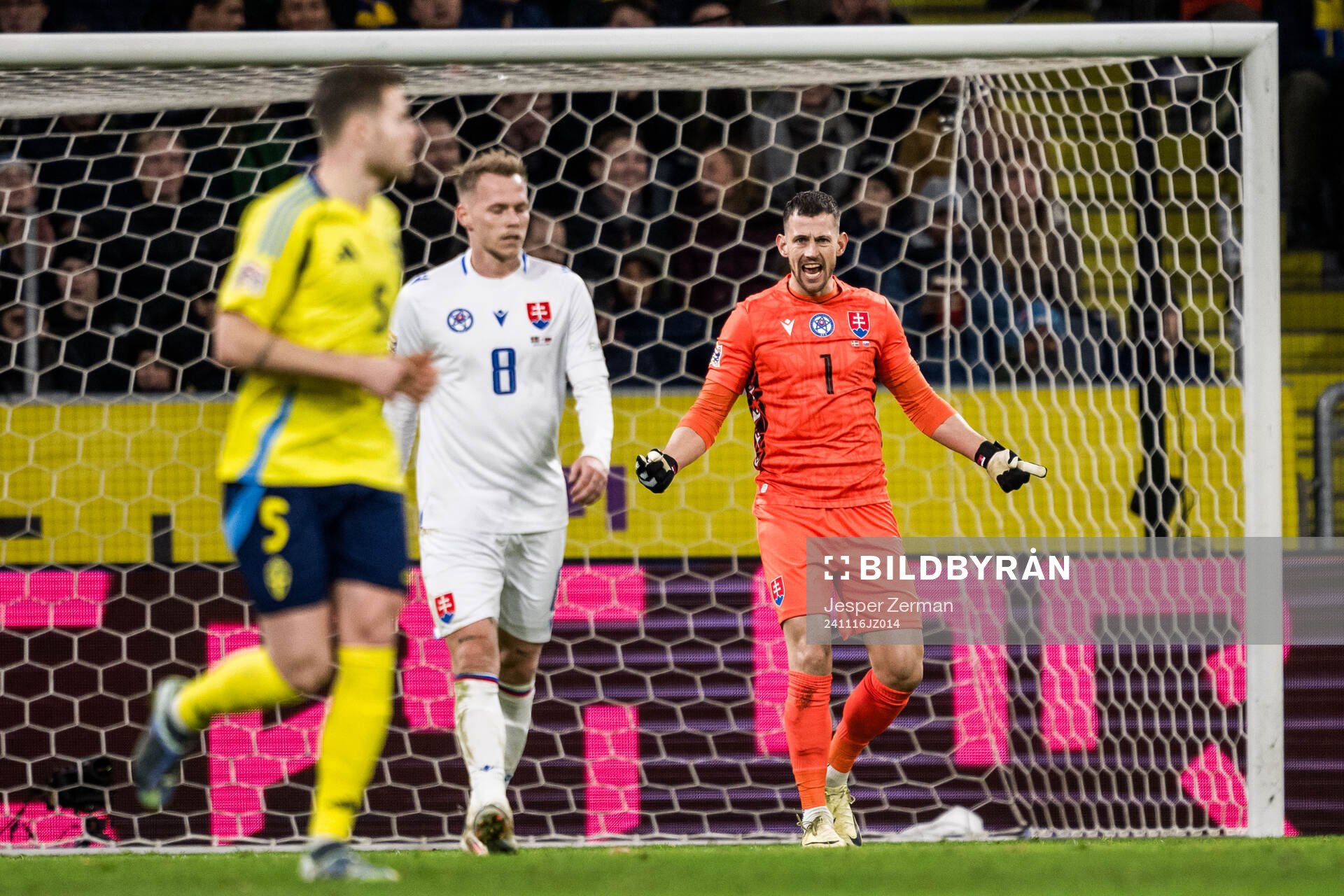 Goalkeeper Martin Dubravka of Slovakia