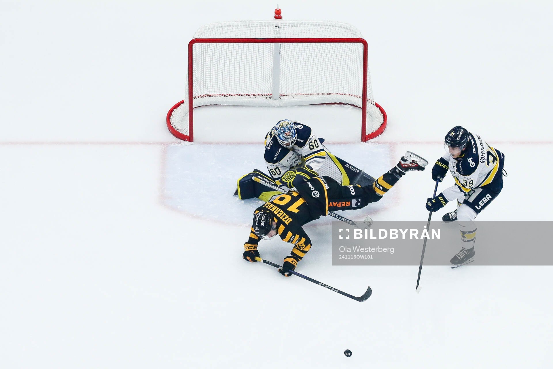 HV71s målvakt Hugo Alnefelt och Jamiro Reber