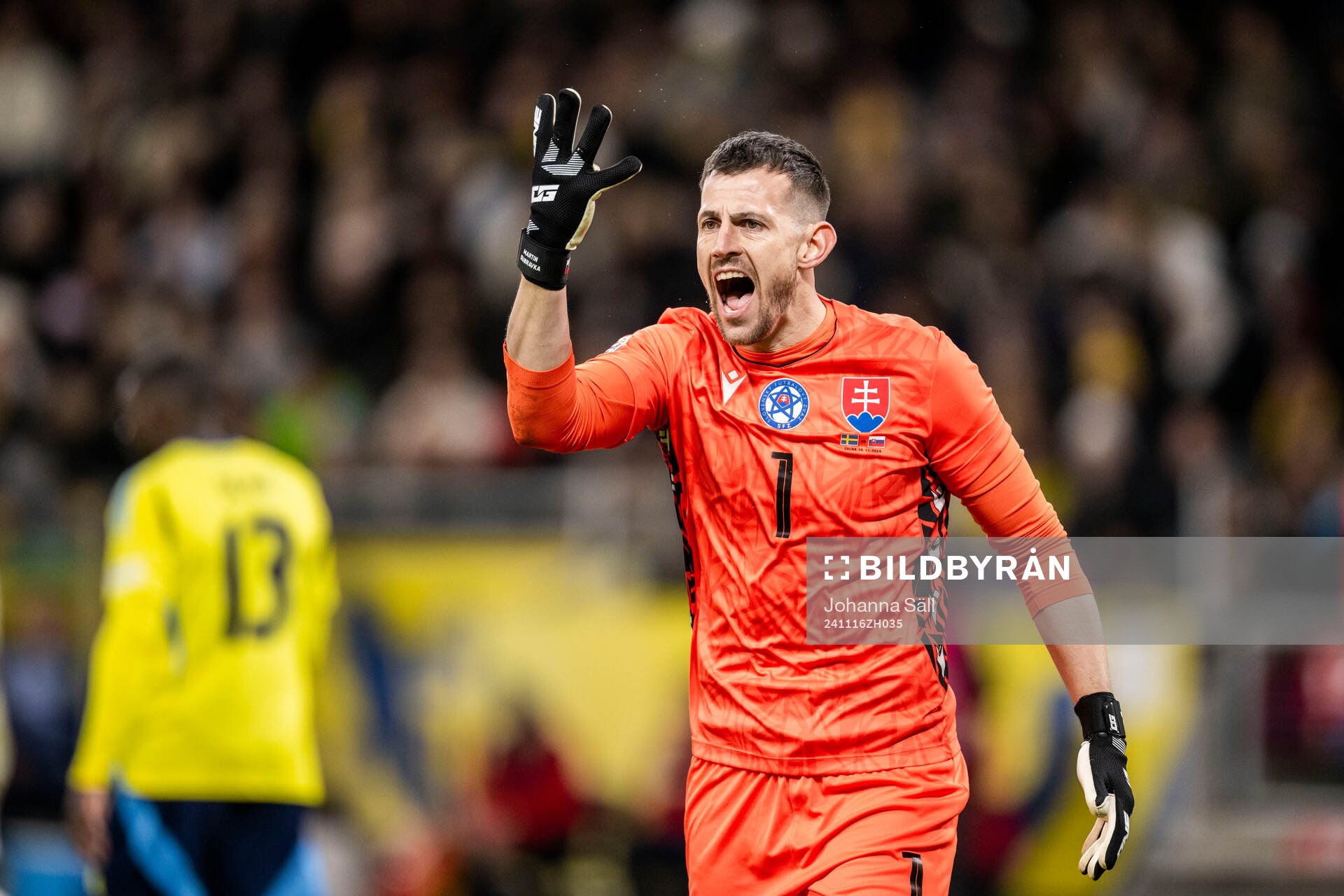 goalkeeper Martin Dubravka of Slovakia