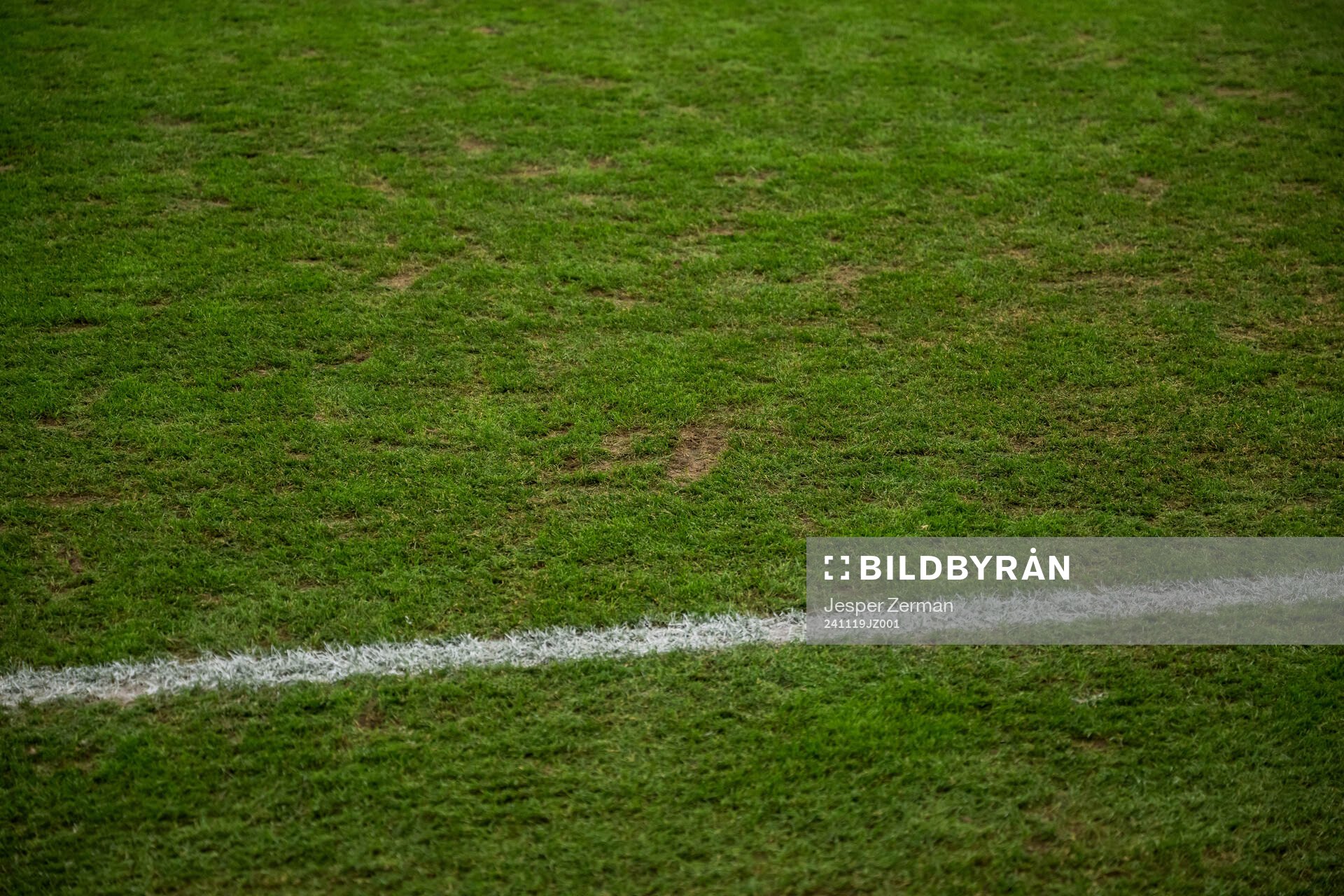 The pitch at Strawberry arena