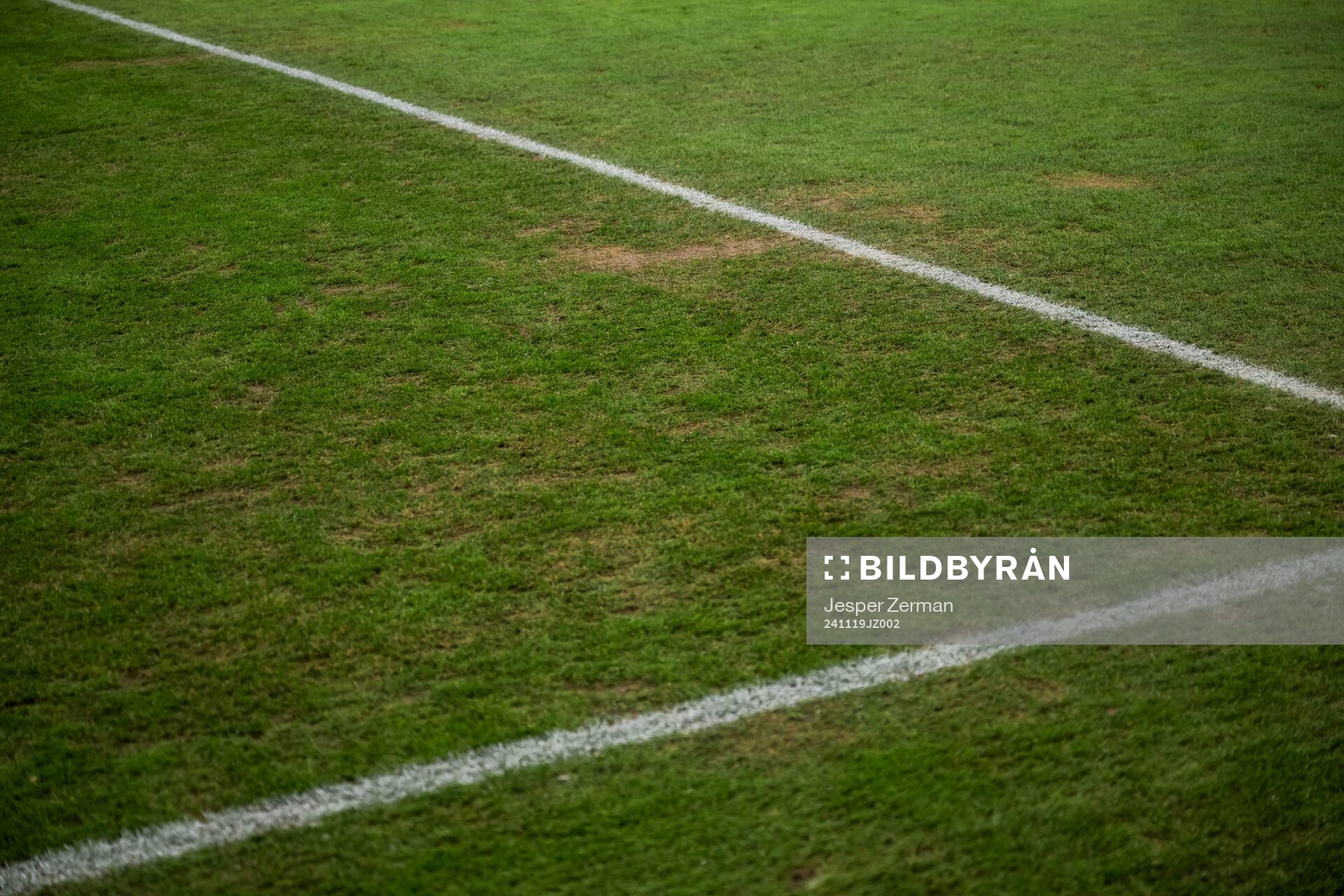 The pitch at Strawberry arena