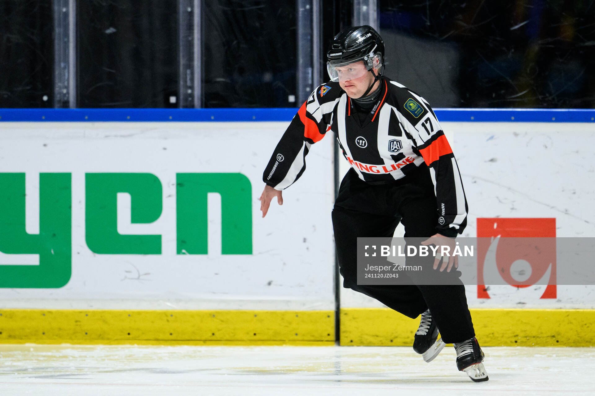Domare Joakim Flink