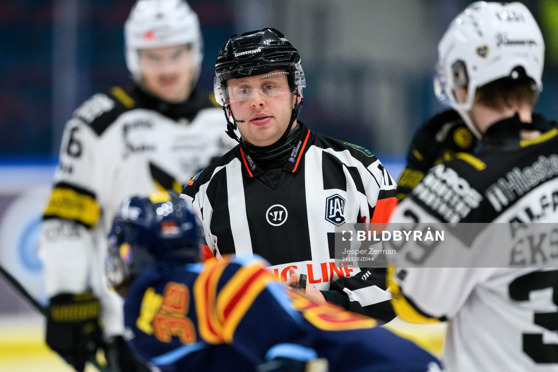 Domare Joakim Flink