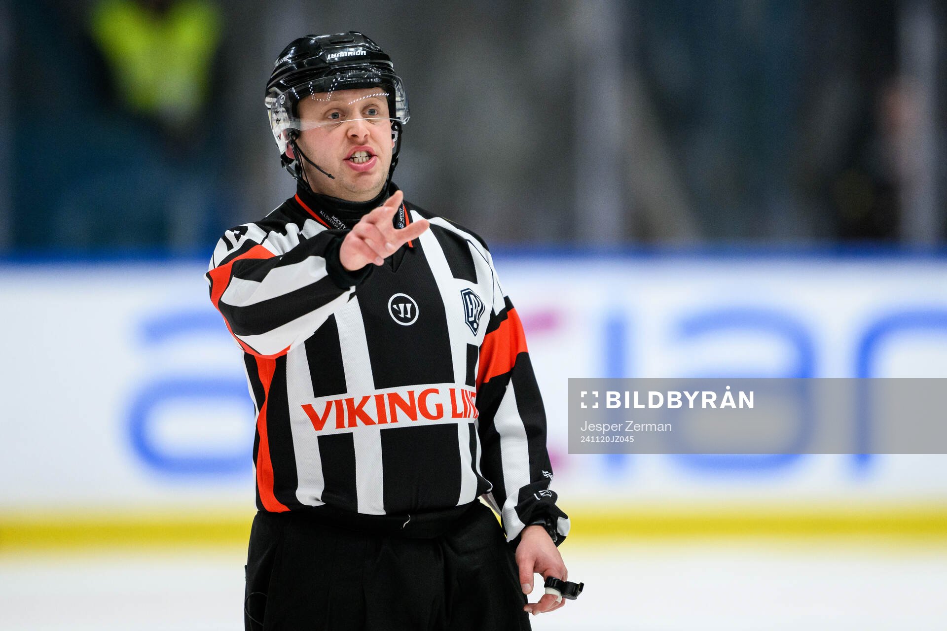 Domare Joakim Flink