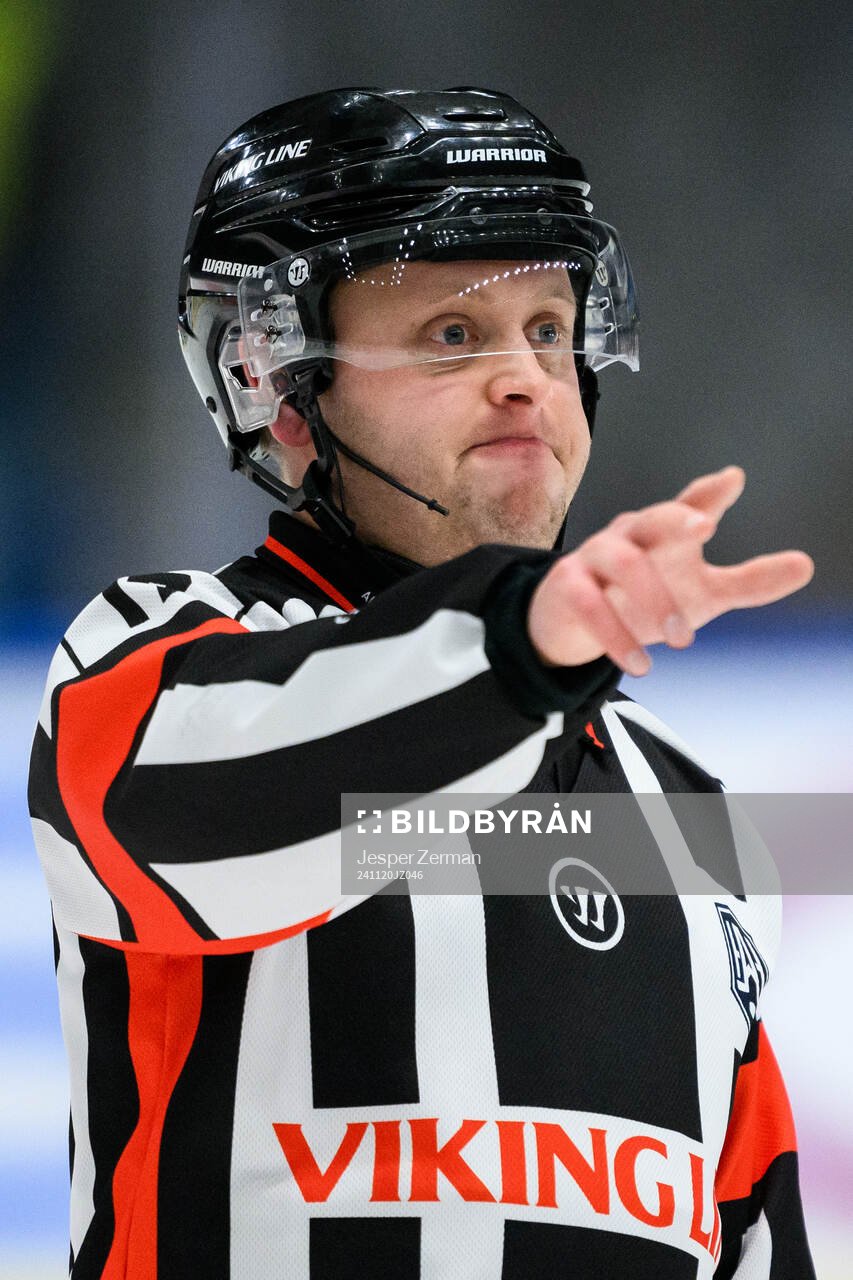 Domare Joakim Flink