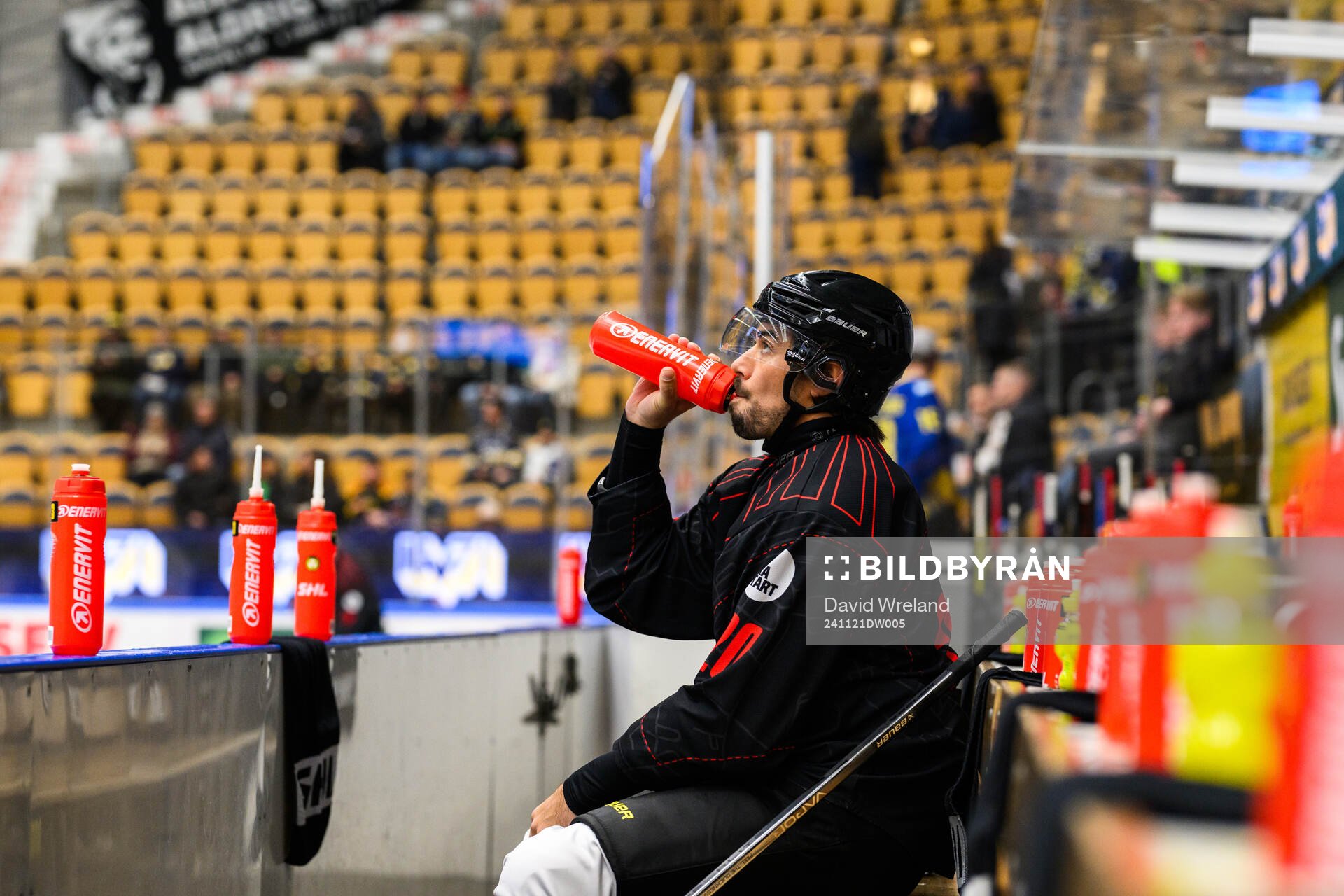 Brynäs Tyler Vesel