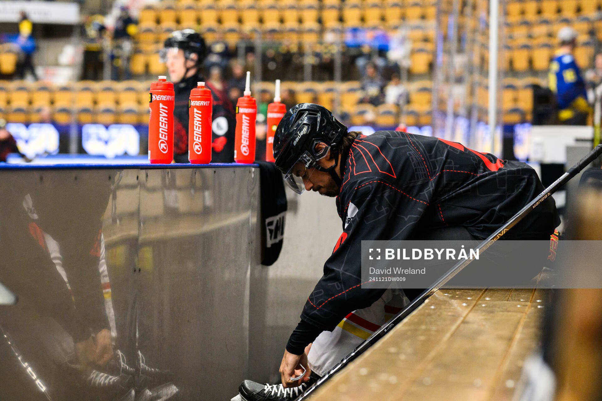 Brynäs Tyler Vesel
