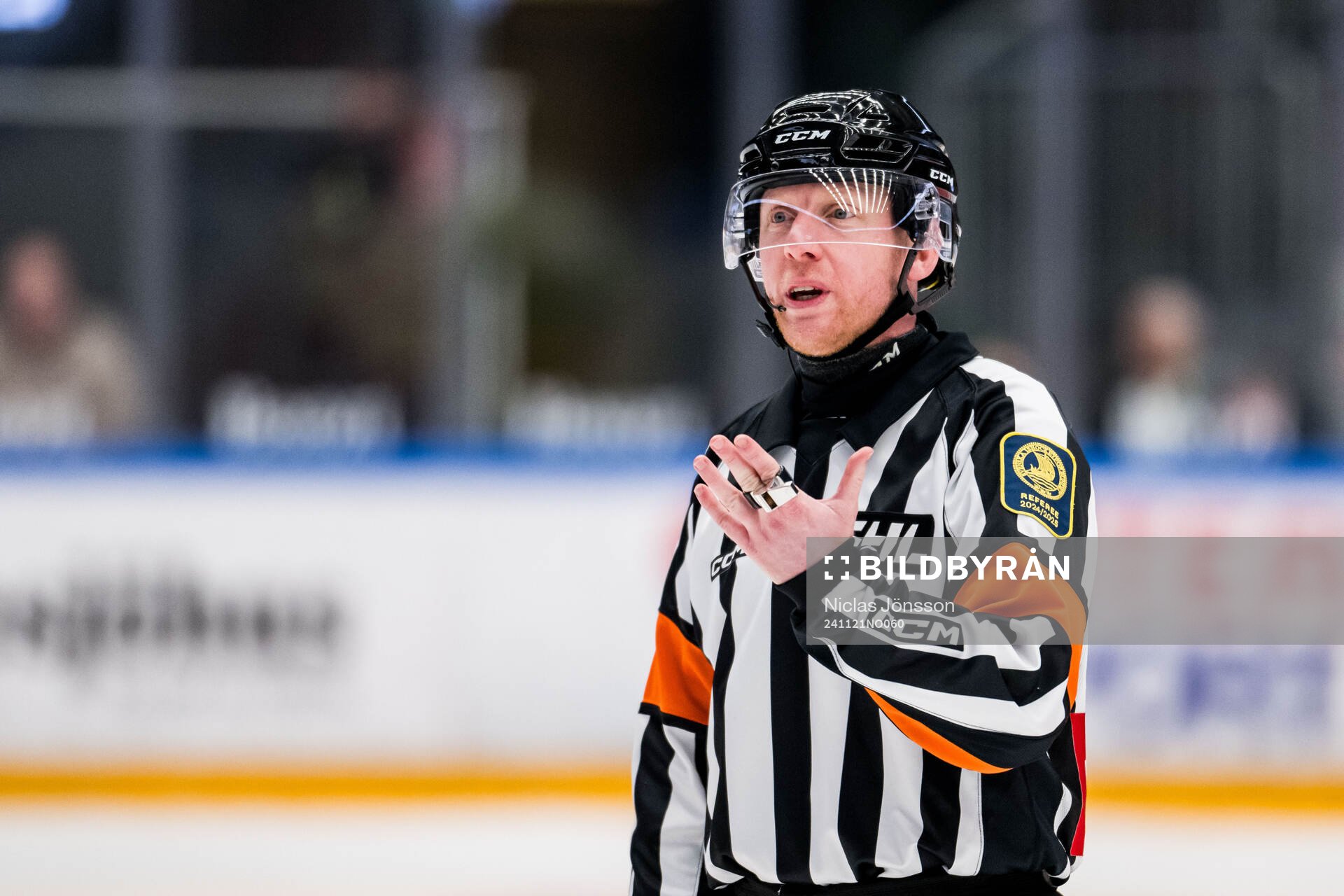 Domare Mikael Holm