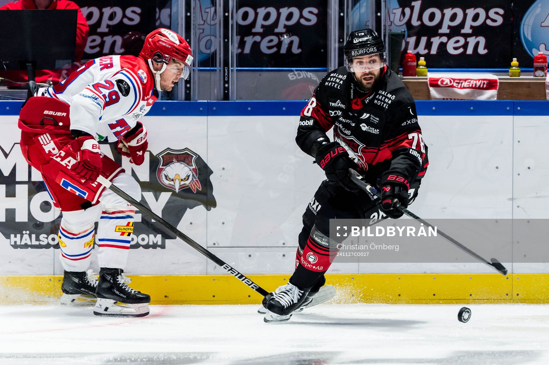 Timrås Filip Hållander och Malmö Redhawks Robin Hanzl