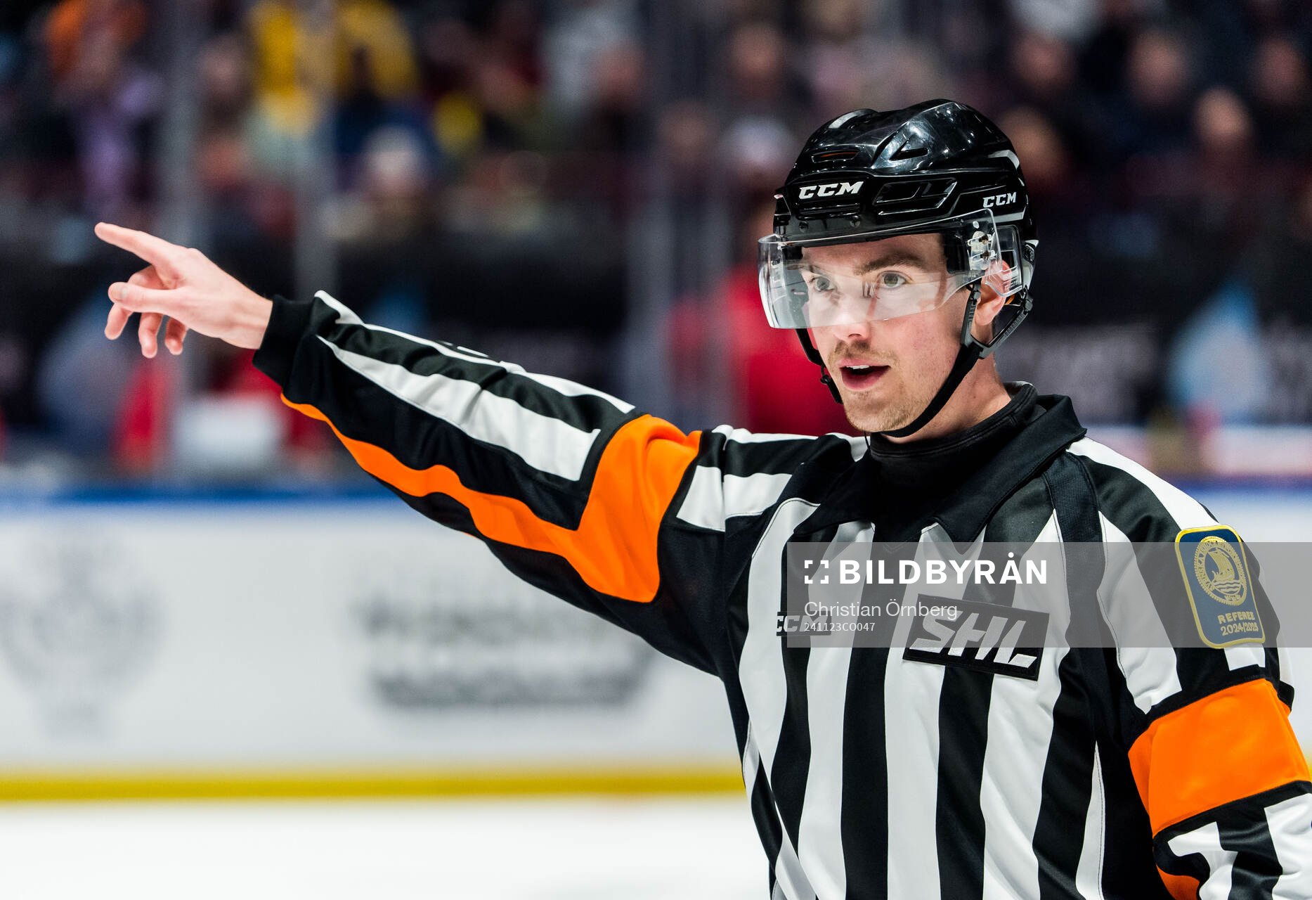 Domare Filip Eriksson