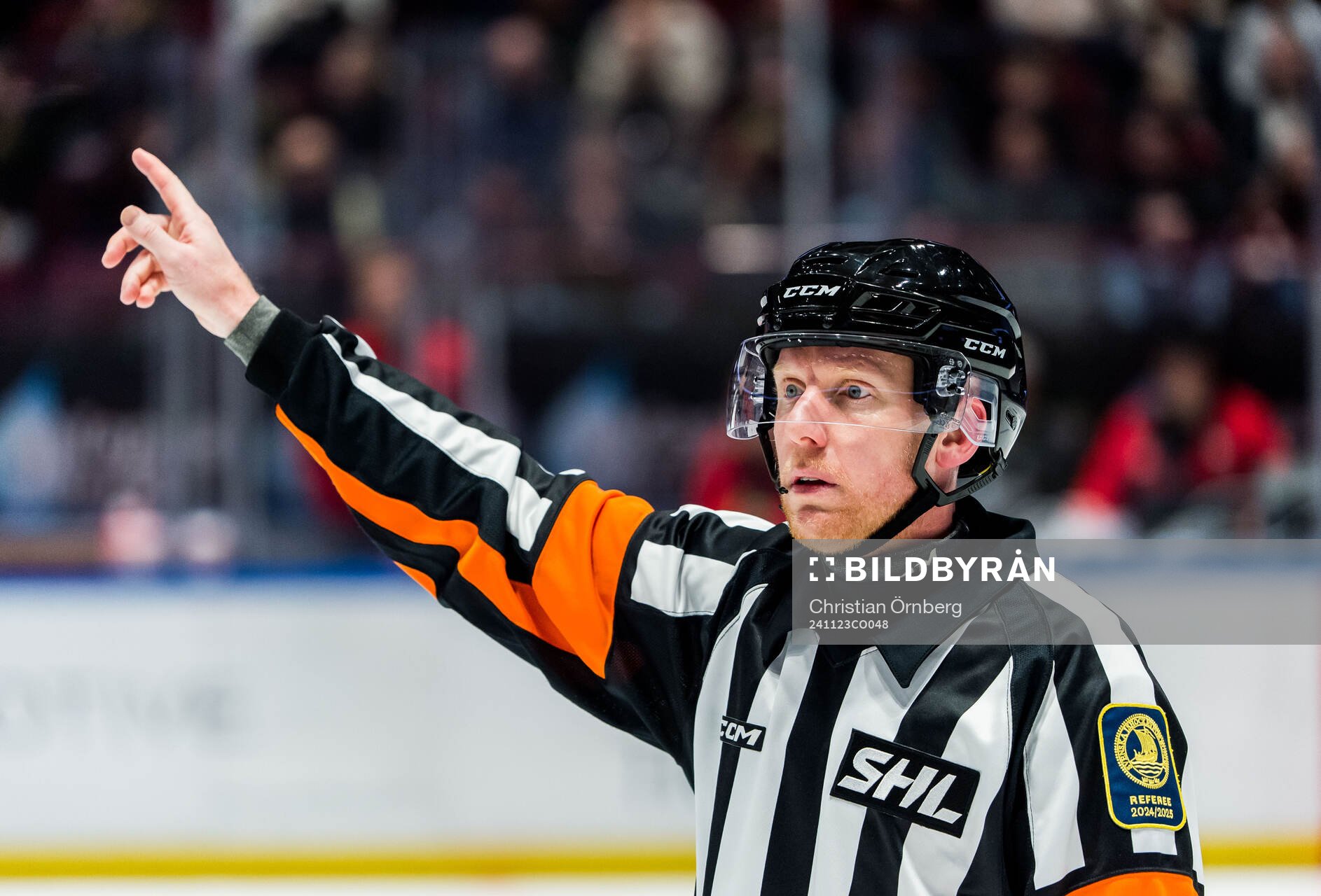 Domare Mikael Holm