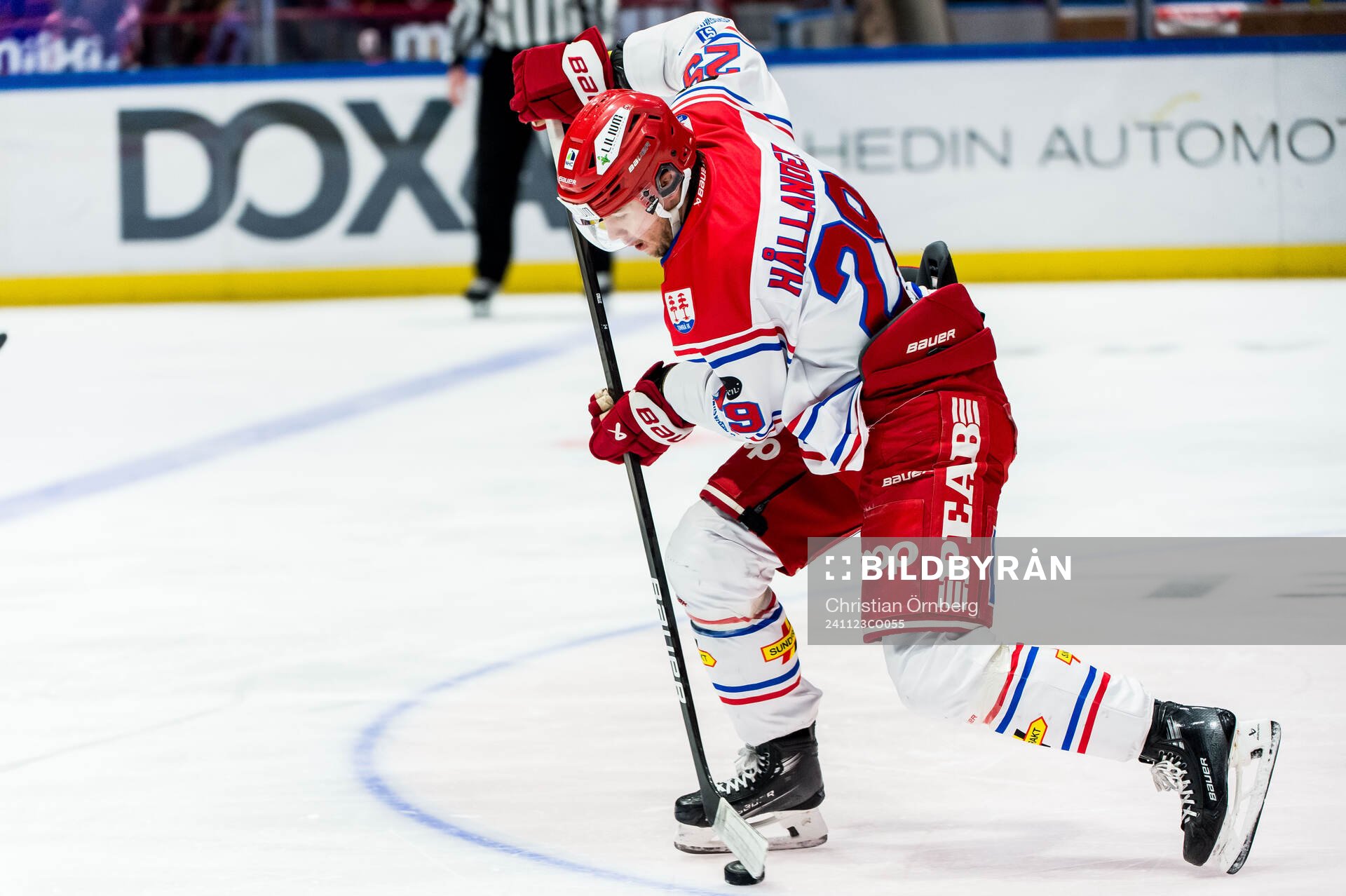 Timrås Filip Hållander