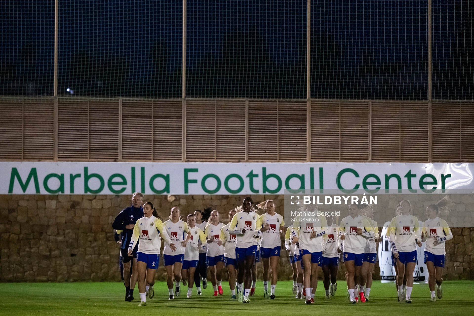 Players of the Swedish women's national football team