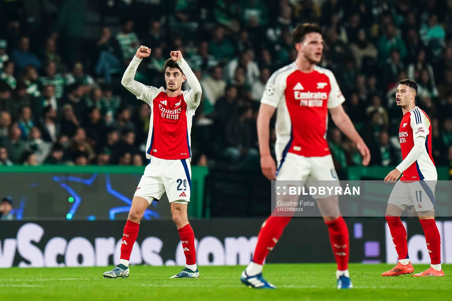 Kai Havertz of Arsenal celebrates during the Champions League football match between Sporting Lisbon and Arsenal on November 26, 2024 in Lissabon.