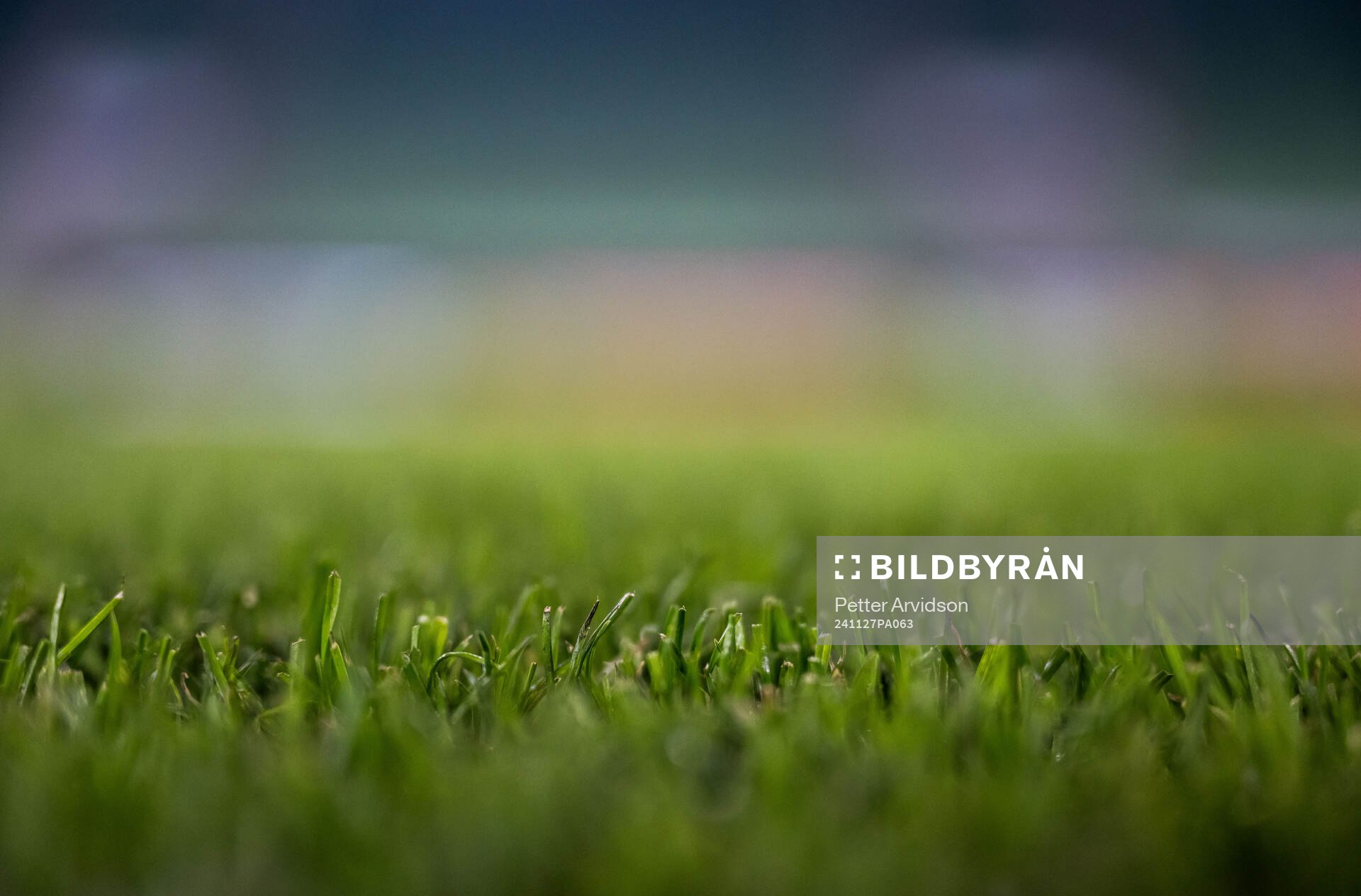 Detailed view of the grass at Ferencvaros Stadium