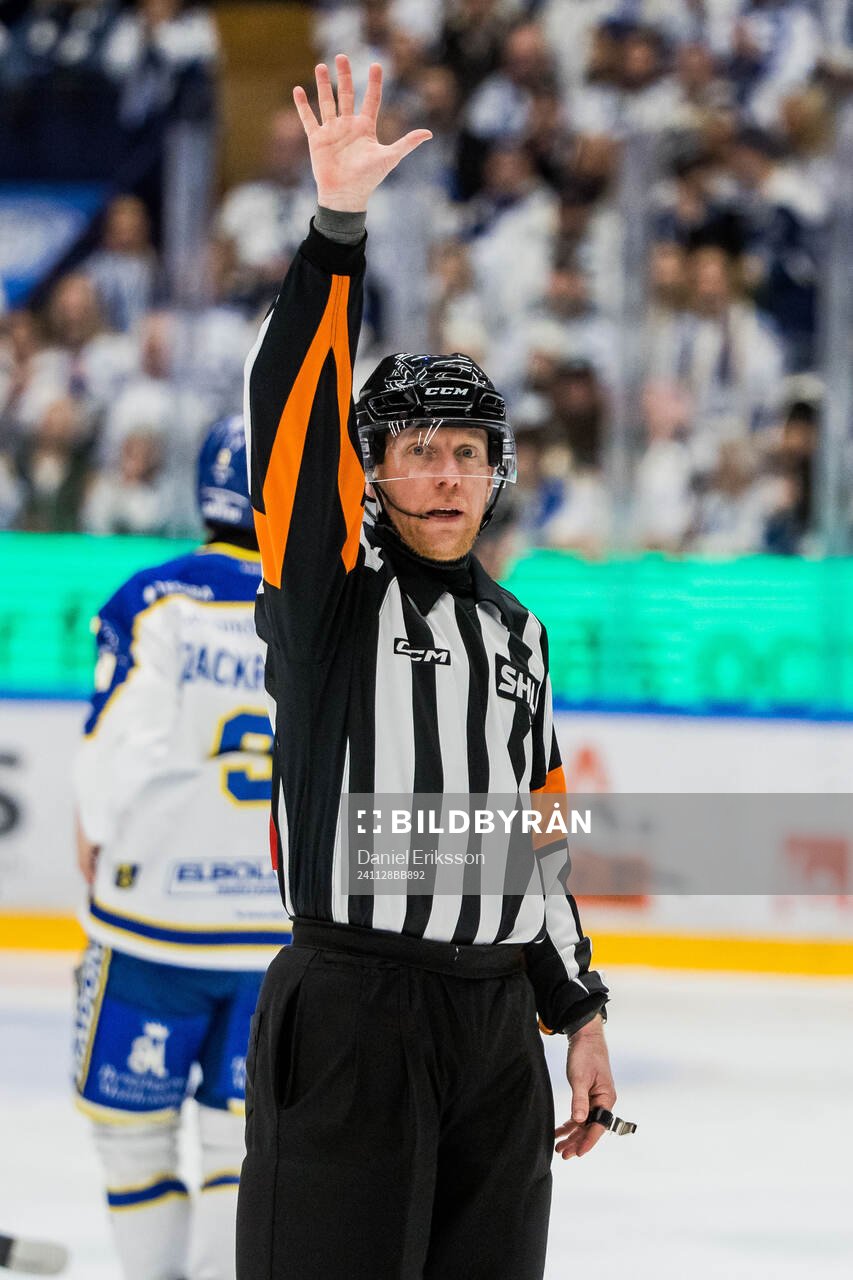 Domare Mikael Holm