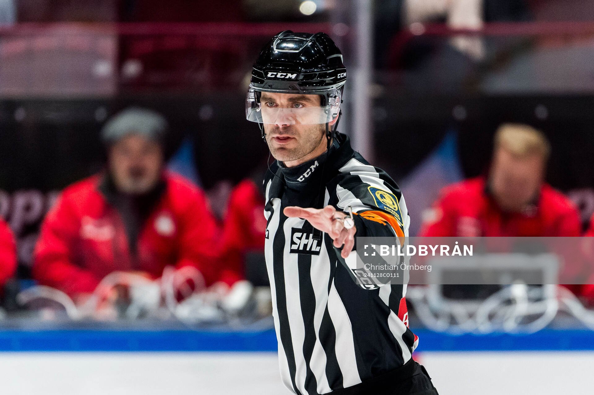 Domare Richard Magnusson