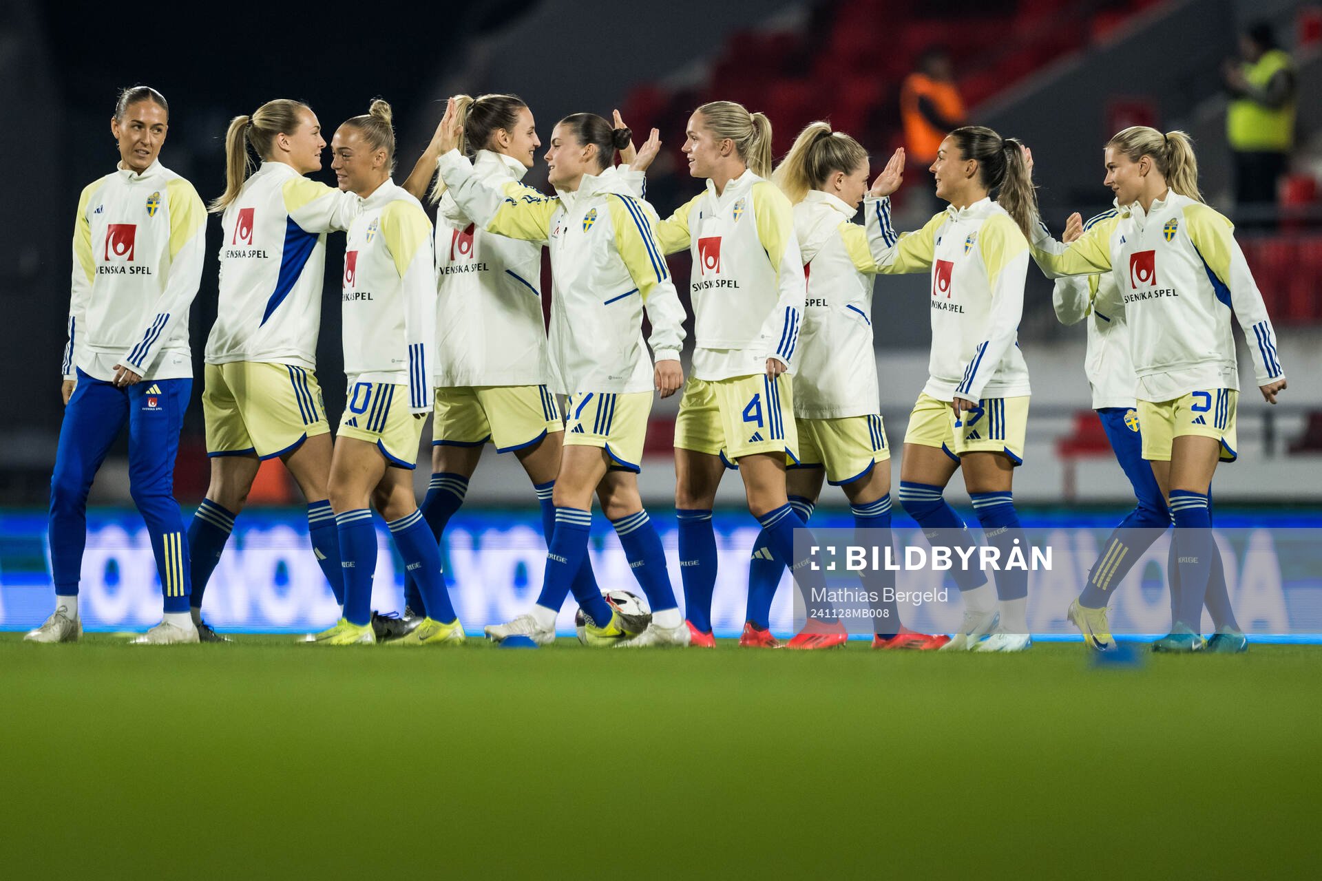 Players of Sweden