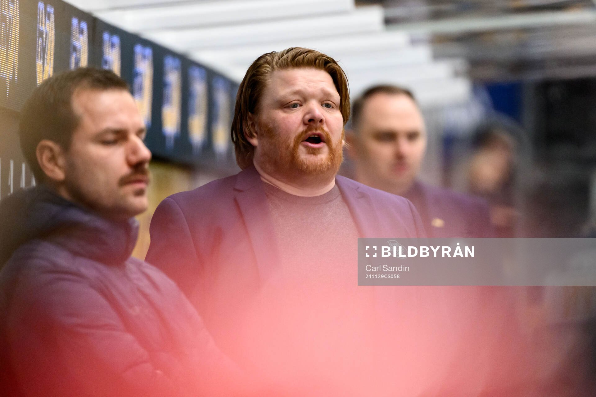 HV71s tränare Thomas Pettersen