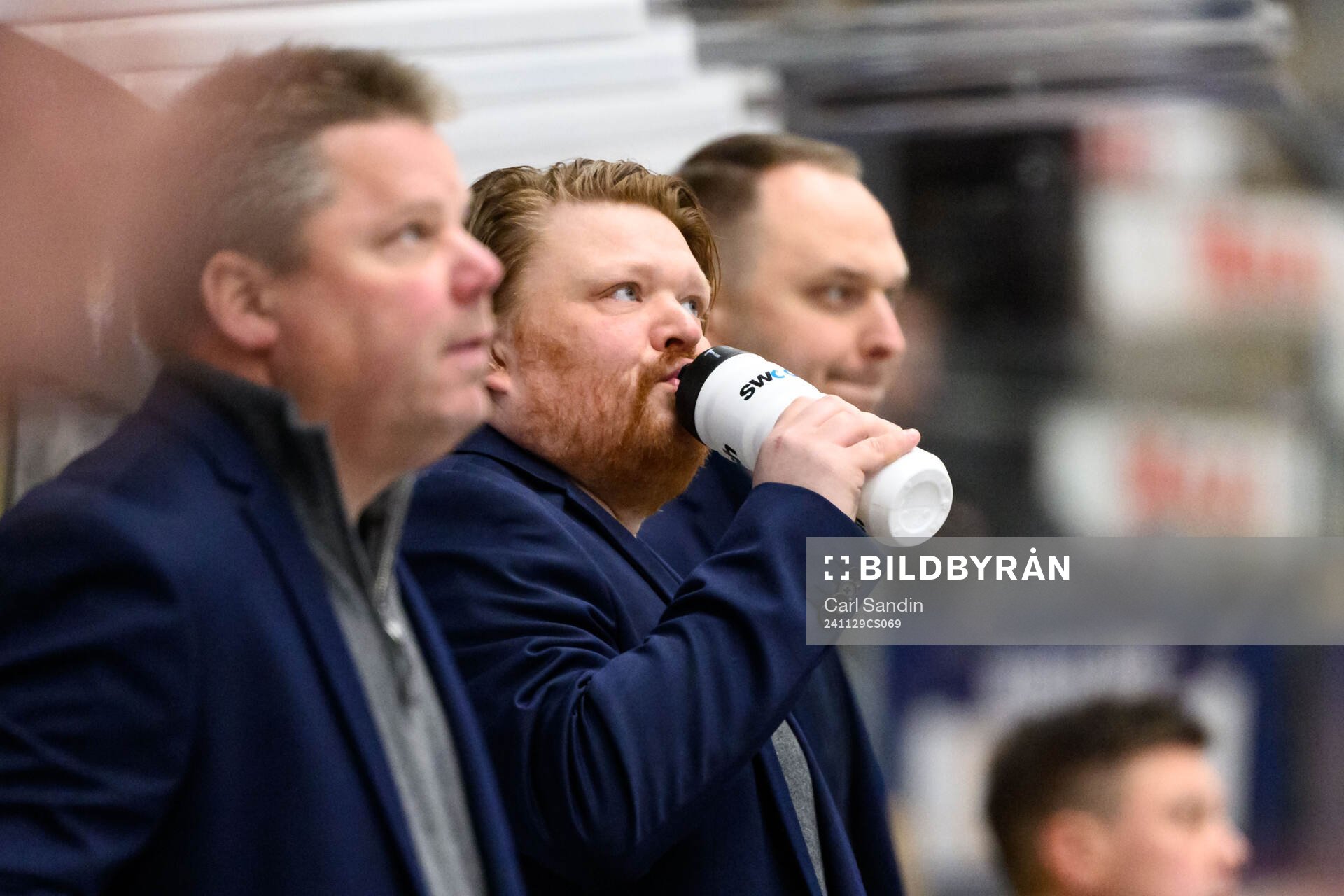 HV71s tränare Thomas Pettersen